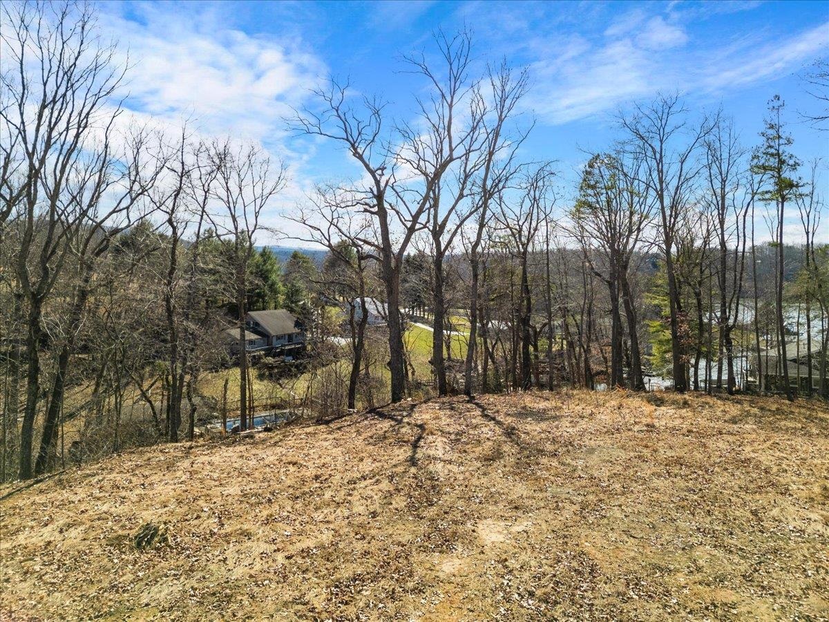 Tbd Allison Drive Hiwassee VA 24347