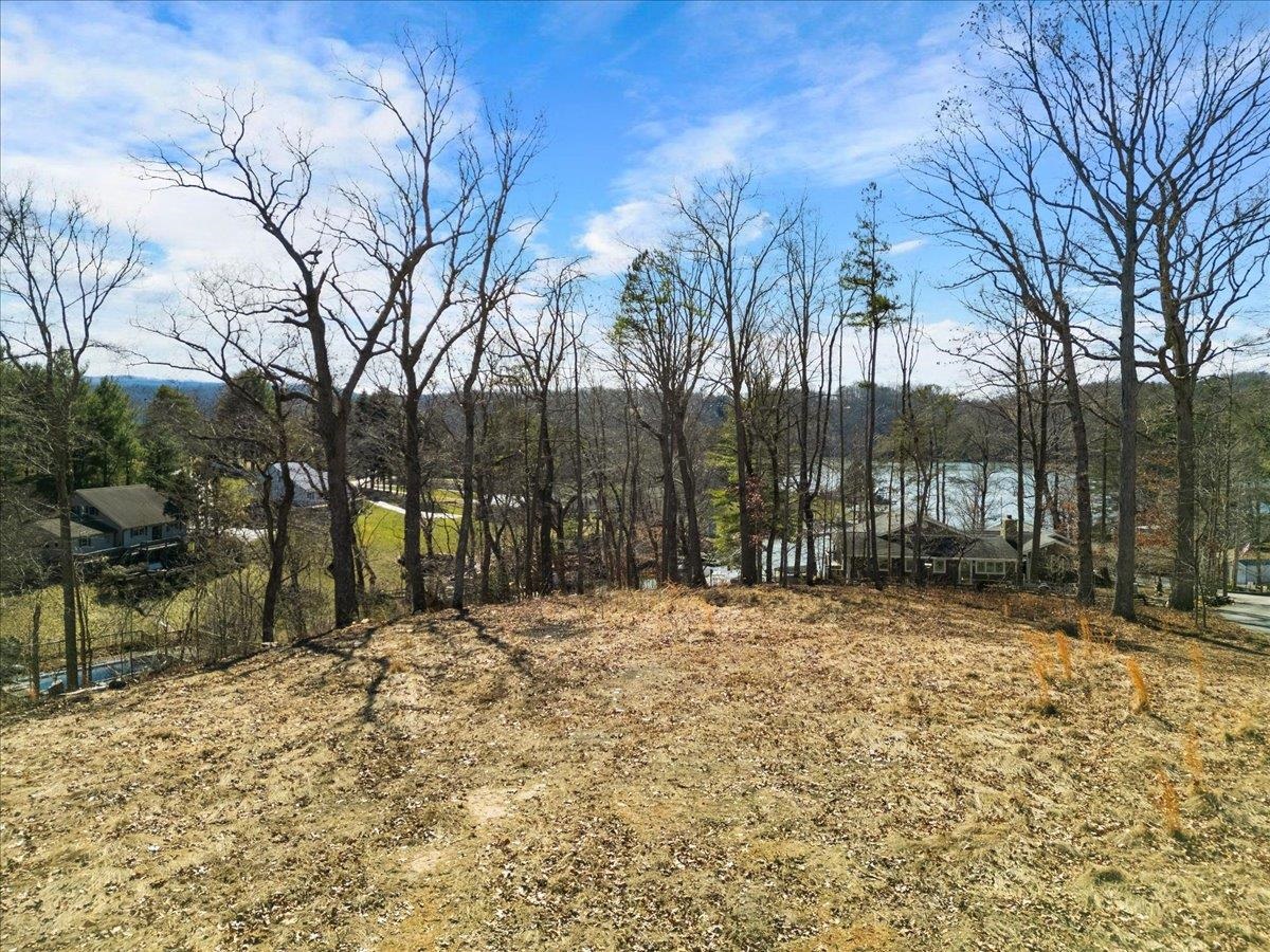 Tbd Allison Drive Hiwassee VA 24347