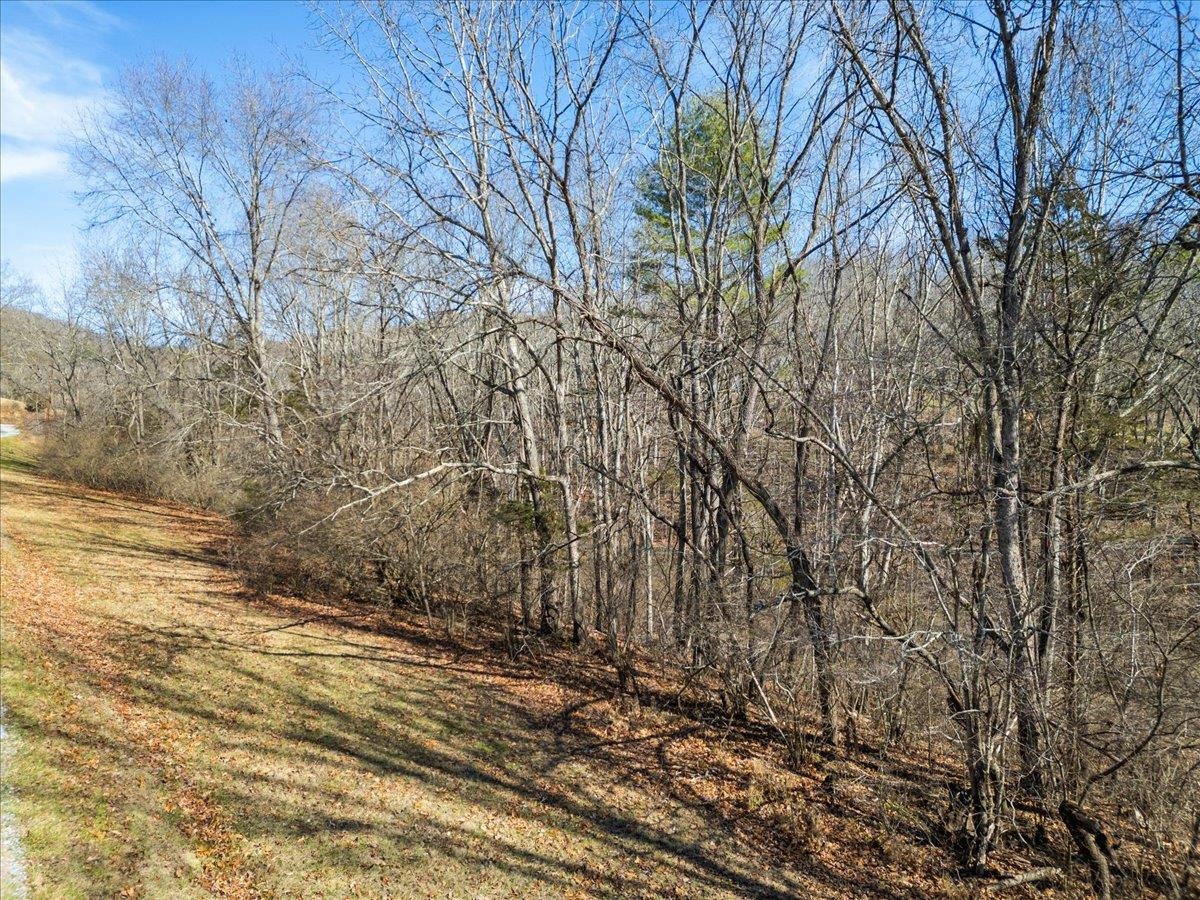 Tbd Allison Drive Hiwassee VA 24347