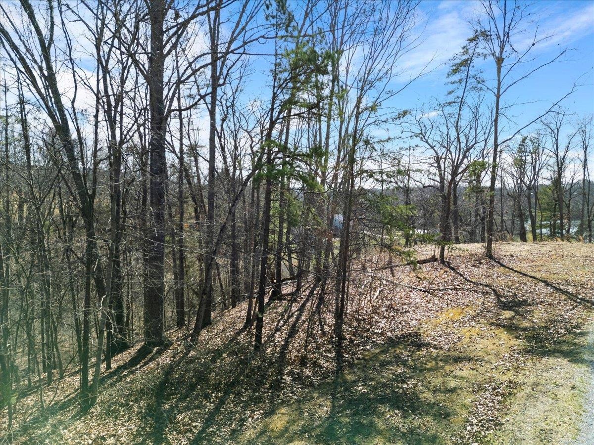 Tbd Allison Drive Hiwassee VA 24347