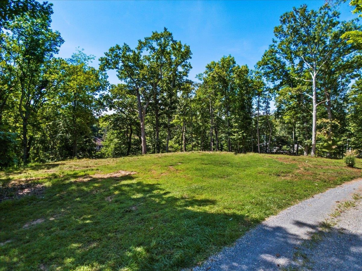 Tbd Allison Drive Hiwassee VA 24347