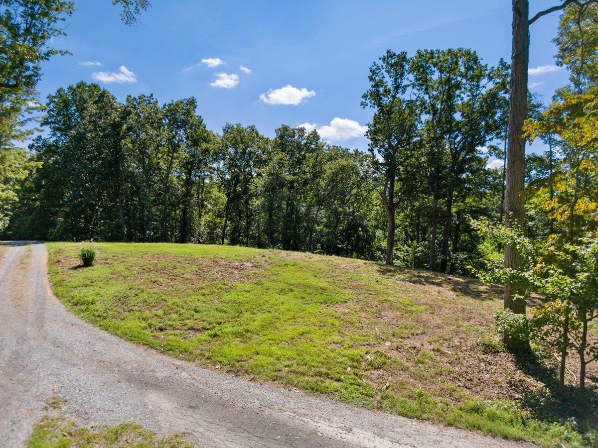 Tbd Allison Drive Hiwassee VA 24347
