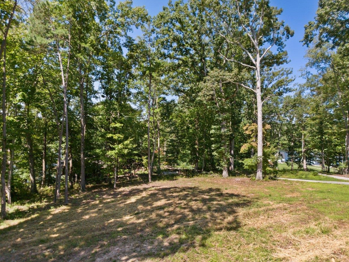 Tbd Allison Drive Hiwassee VA 24347
