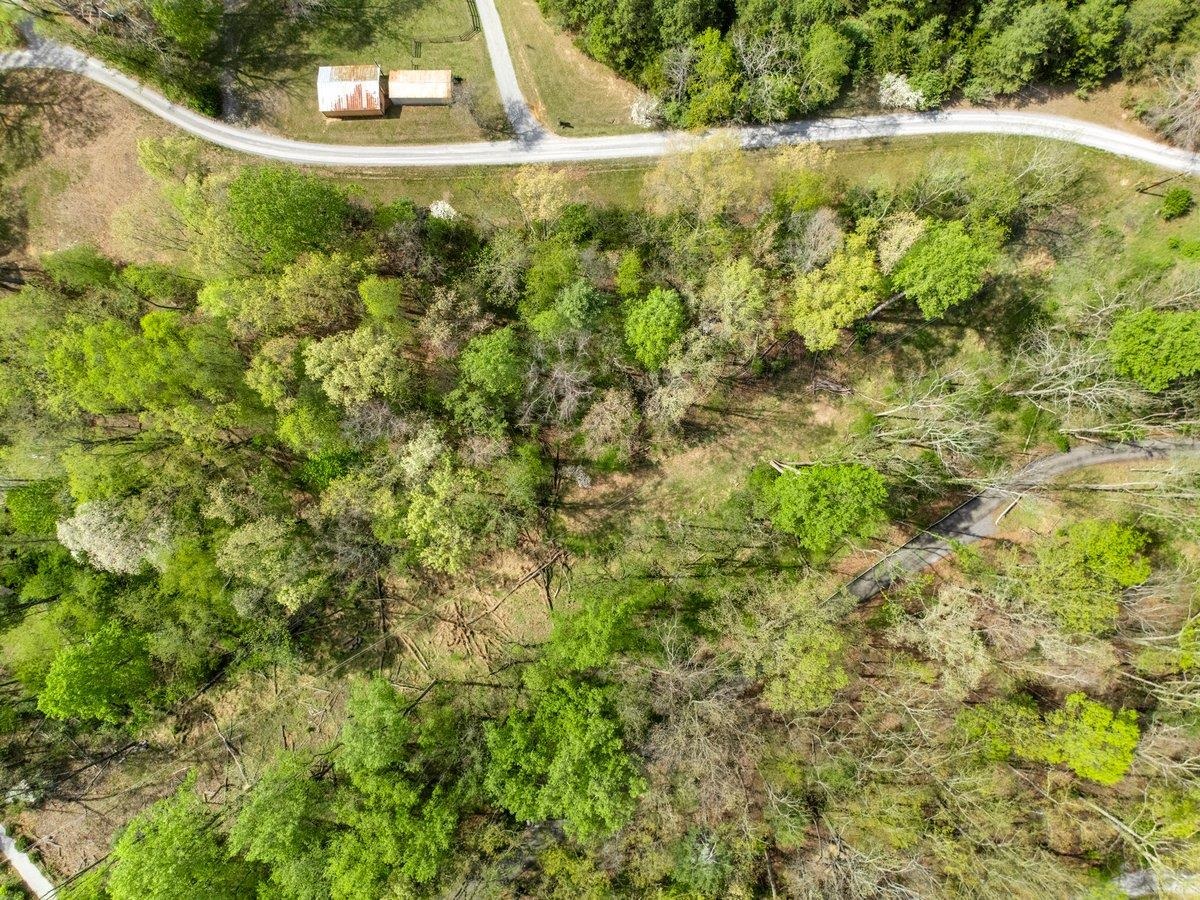 Tbd Allison Drive Hiwassee VA 24347