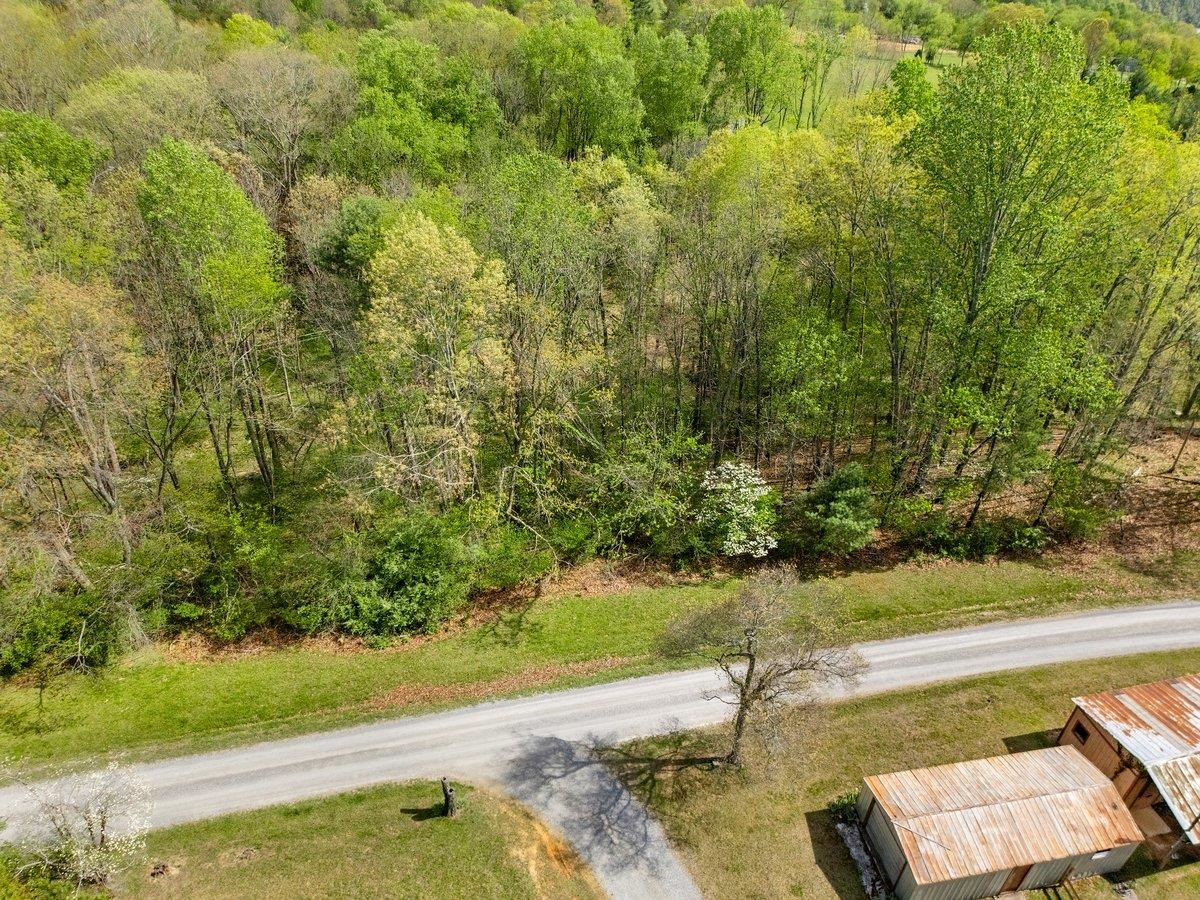 Tbd Allison Drive Hiwassee VA 24347