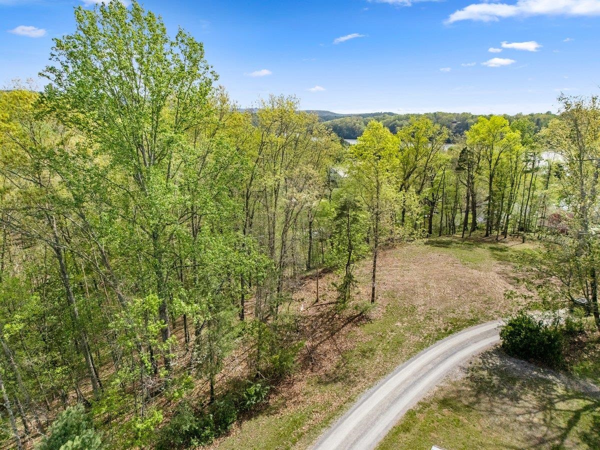 Tbd Allison Drive Hiwassee VA 24347