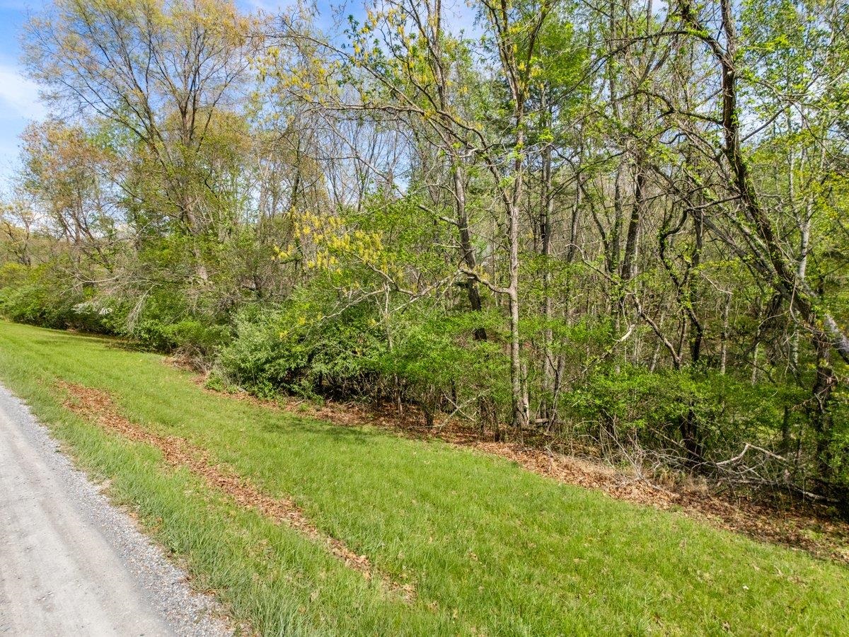 Tbd Allison Drive Hiwassee VA 24347