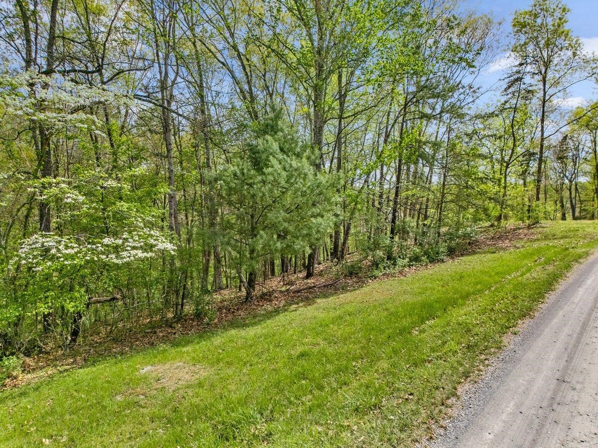 Tbd Allison Drive Hiwassee VA 24347