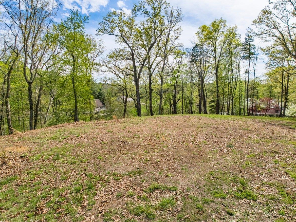 Tbd Allison Drive Hiwassee VA 24347