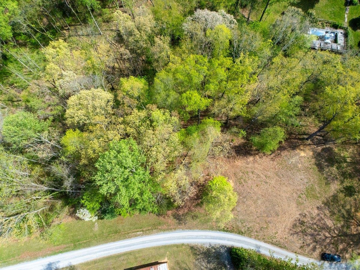 Tbd Allison Drive Hiwassee VA 24347
