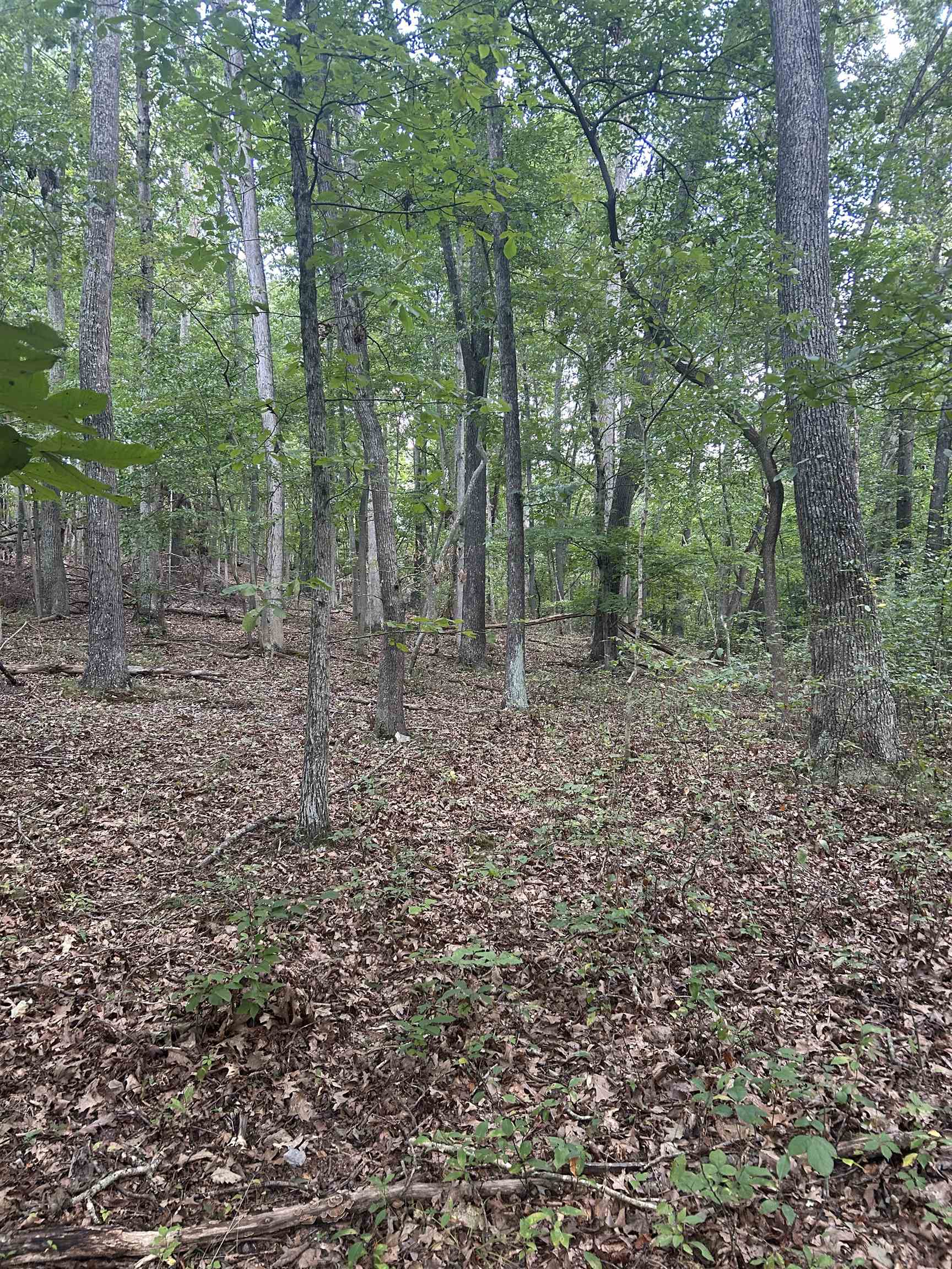 Tbd Hoges Orchard Lane Pembroke VA 24136