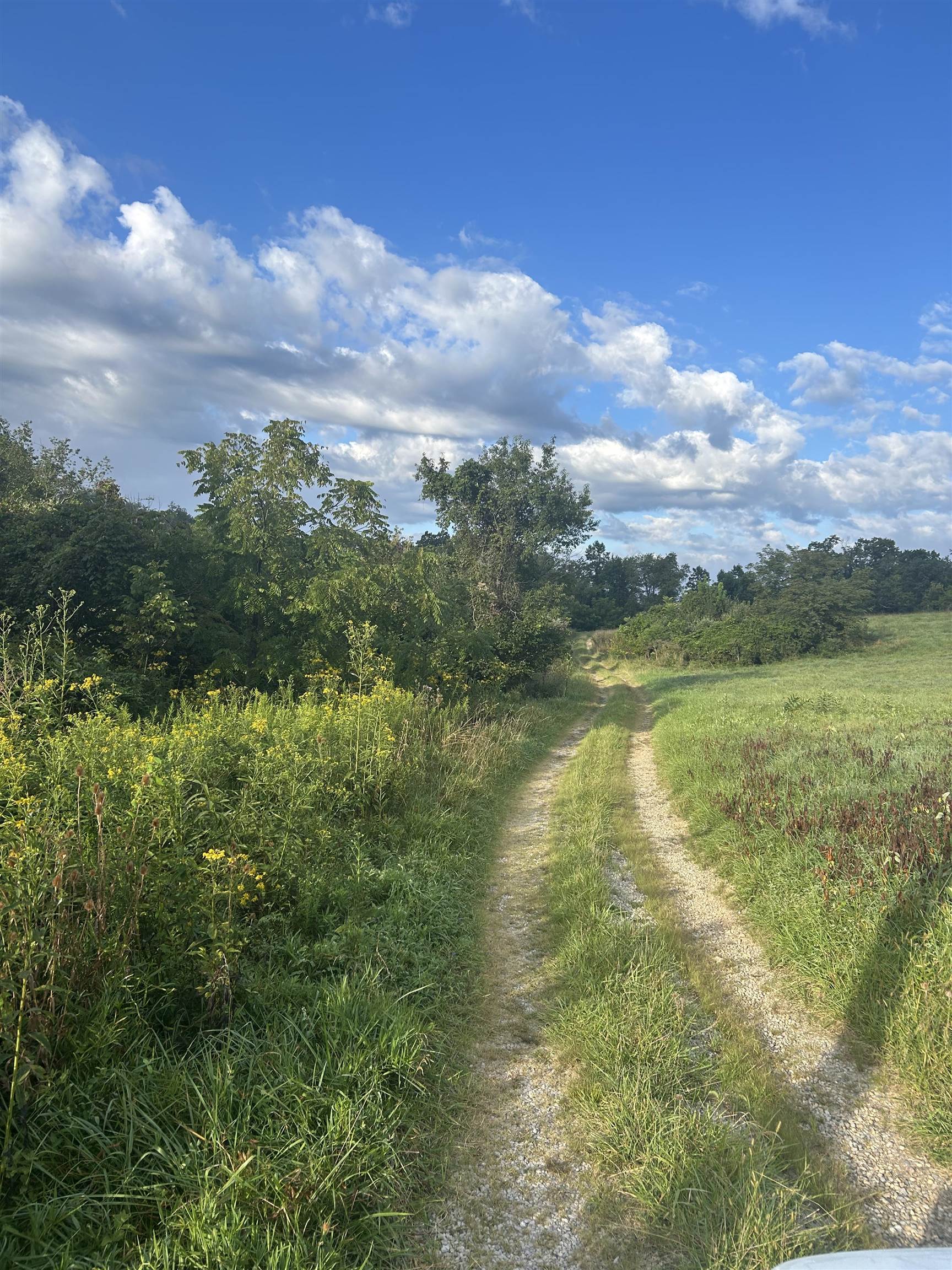 Tbd Hoges Orchard Lane Pembroke VA 24136