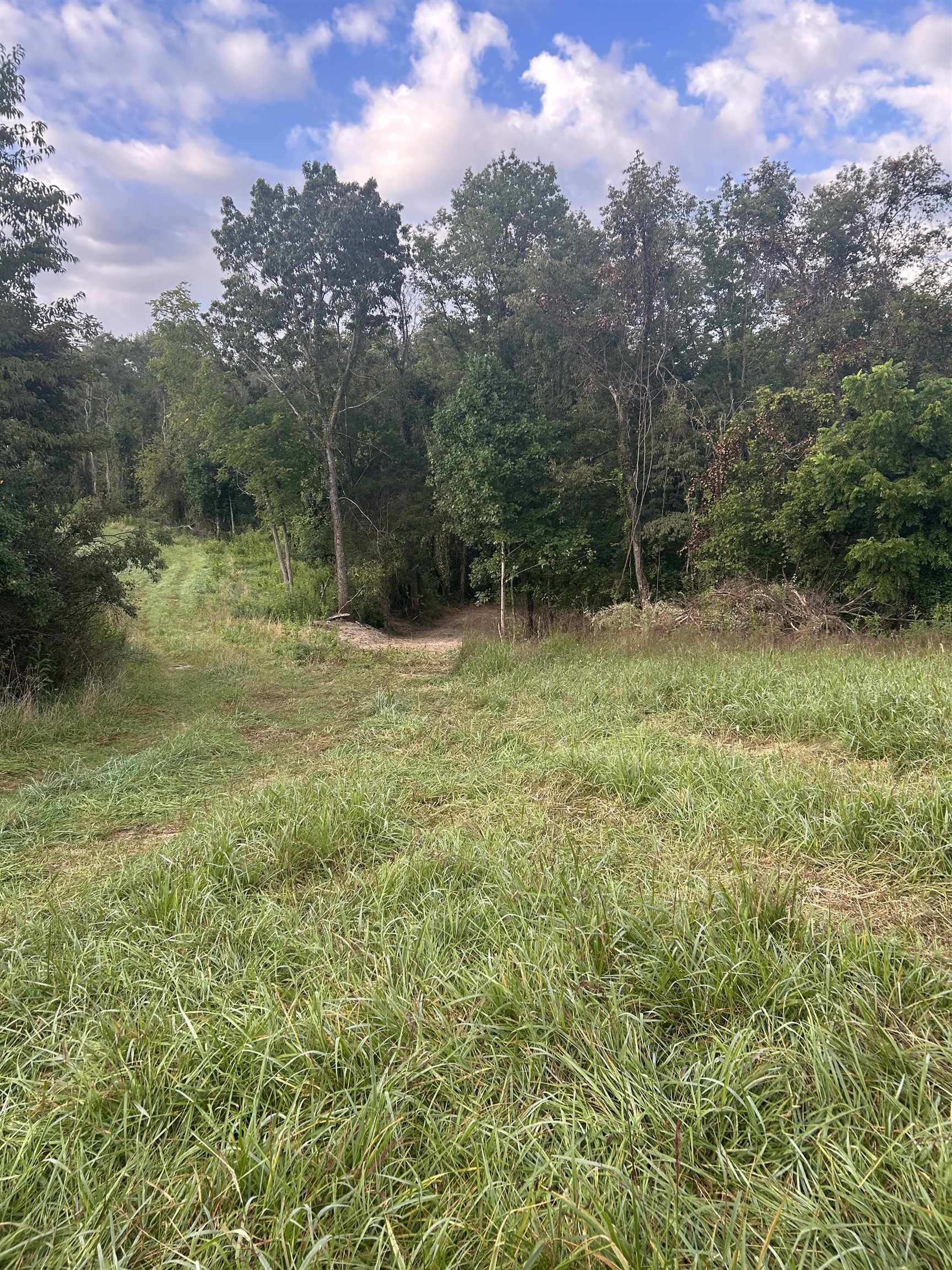 Tbd Hoges Orchard Lane Pembroke VA 24136