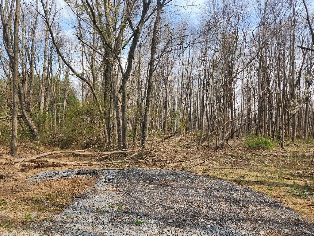 Tbd Allis Chalmers Road Rural Retreat VA 24368