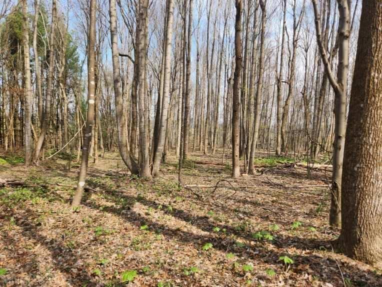 Tbd Allis Chalmers Road Rural Retreat VA 24368