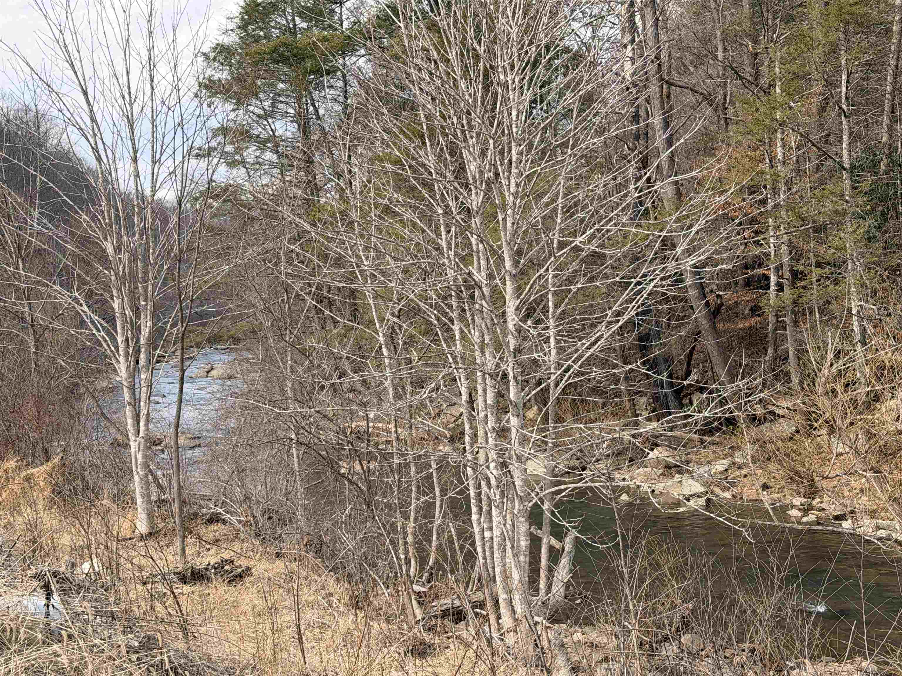 Tbd Cleburne Road Dublin VA 24084