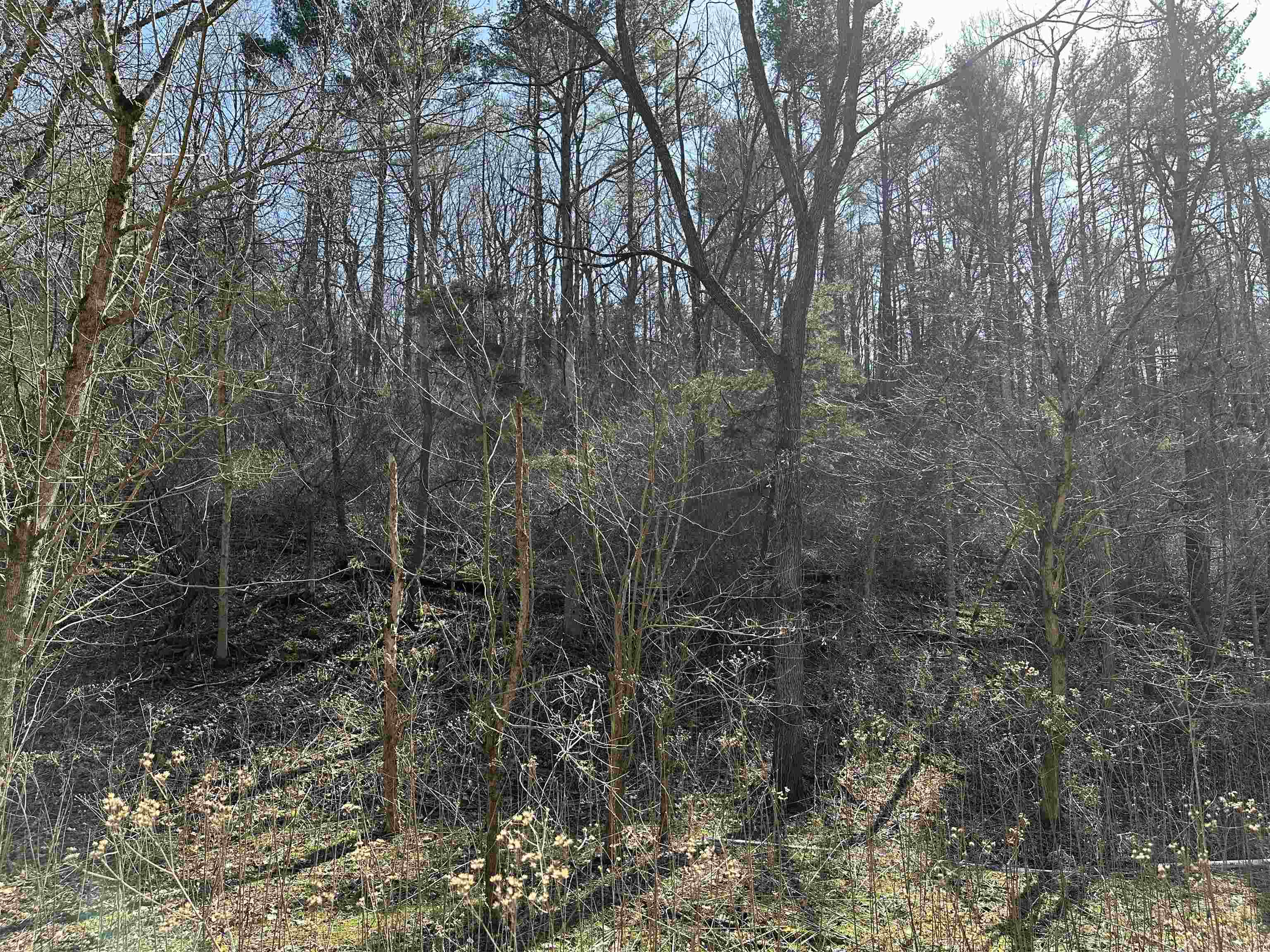 Tbd Walkers Creek Valley Road Pearisburg VA 24134