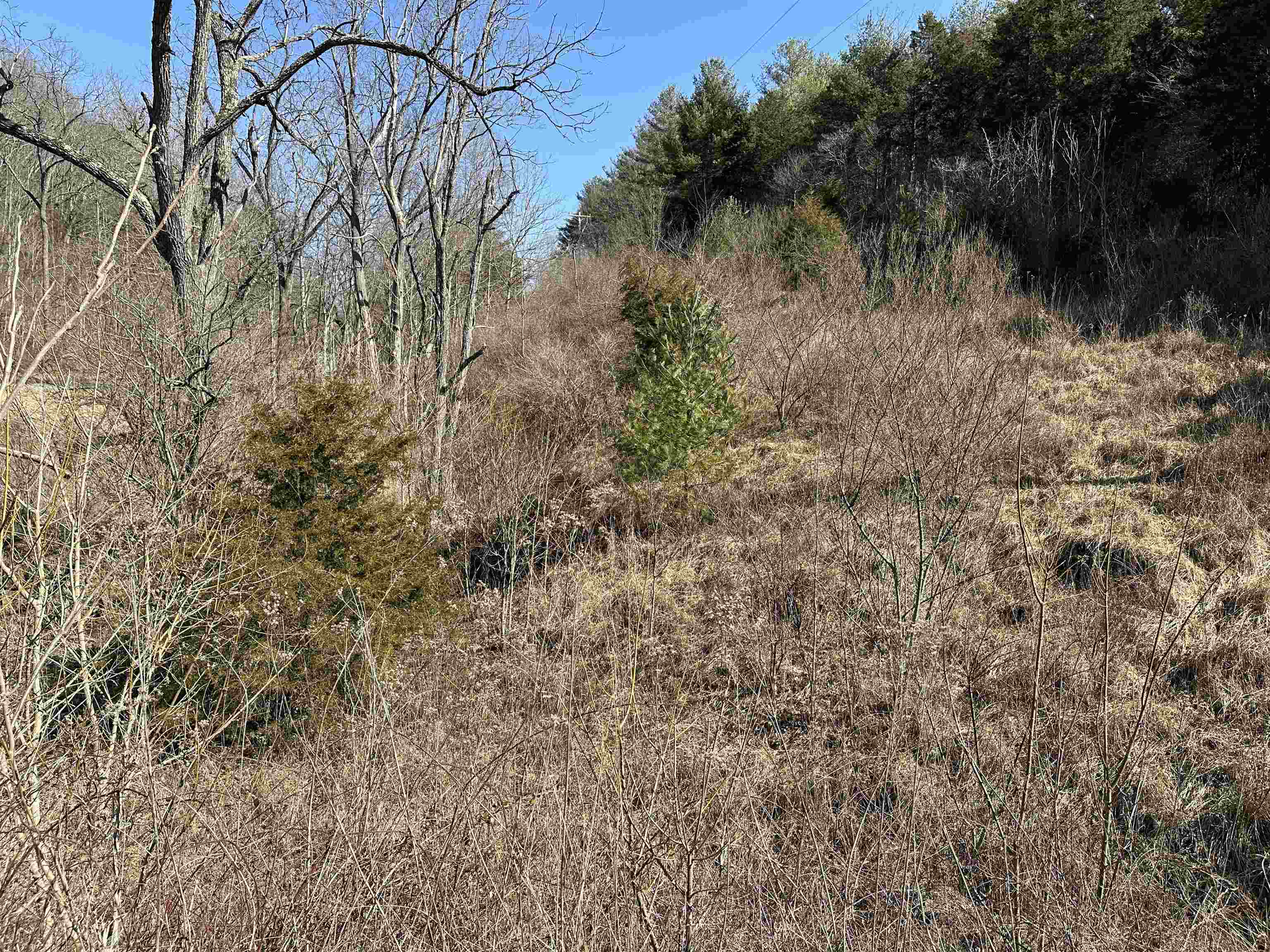 Tbd Walkers Creek Valley Road Pearisburg VA 24134