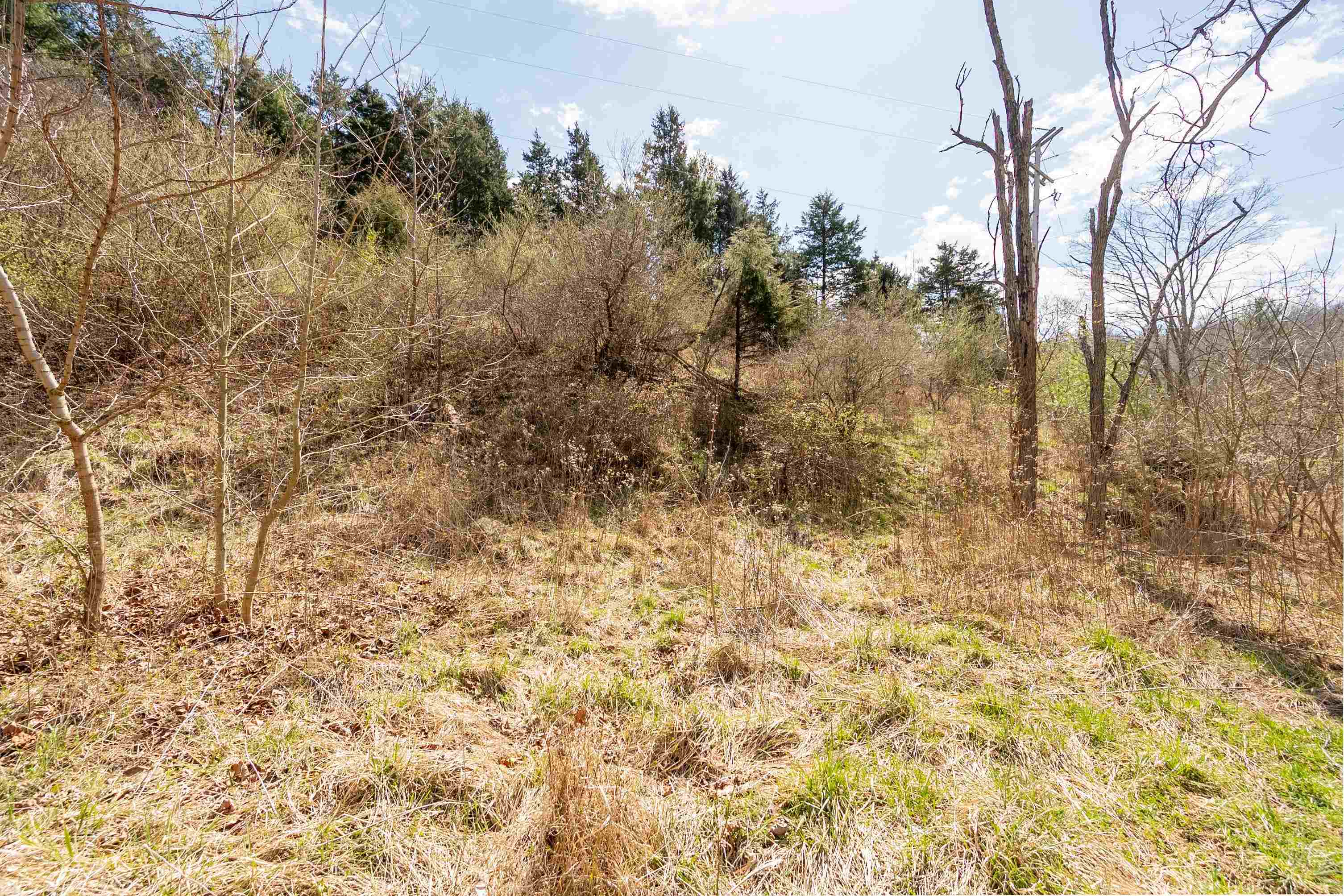 Tbd Walkers Creek Valley Road Pearisburg VA 24134