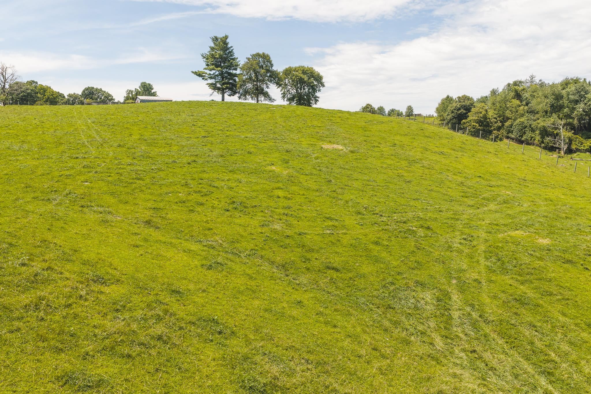 Lot 2 Long Level Road Floyd VA 24091