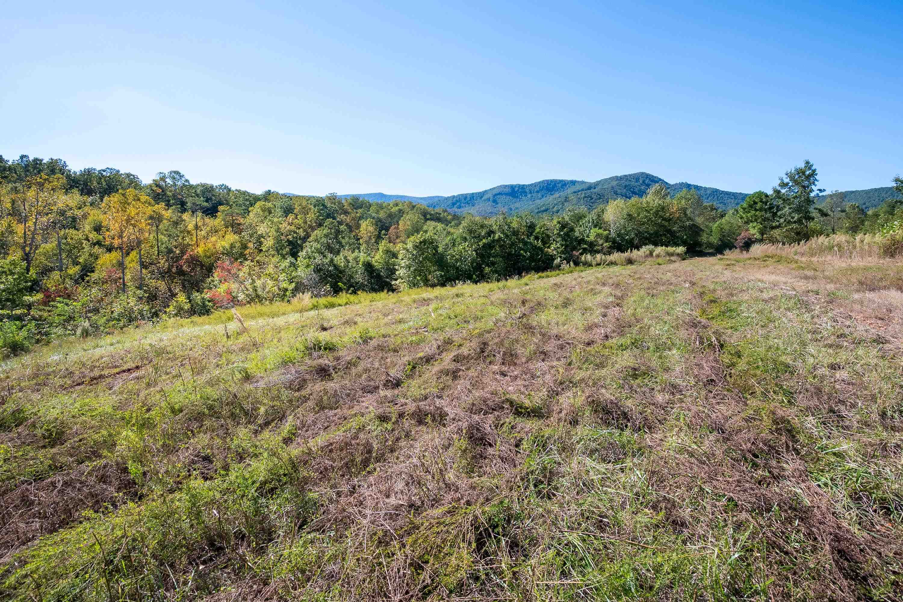401 York Thicket Road Lambsburg VA 24351