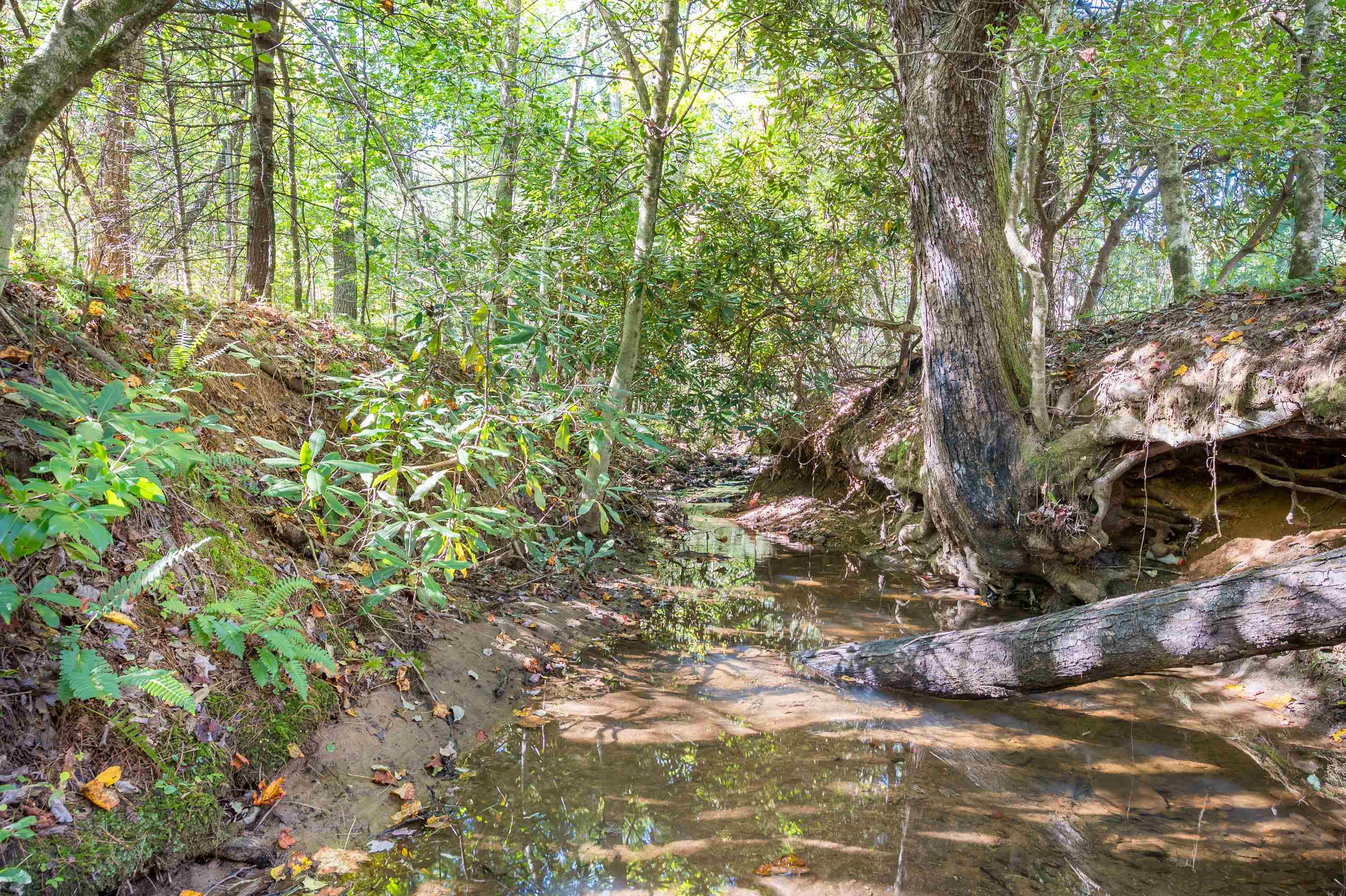 401 York Thicket Road Lambsburg VA 24351