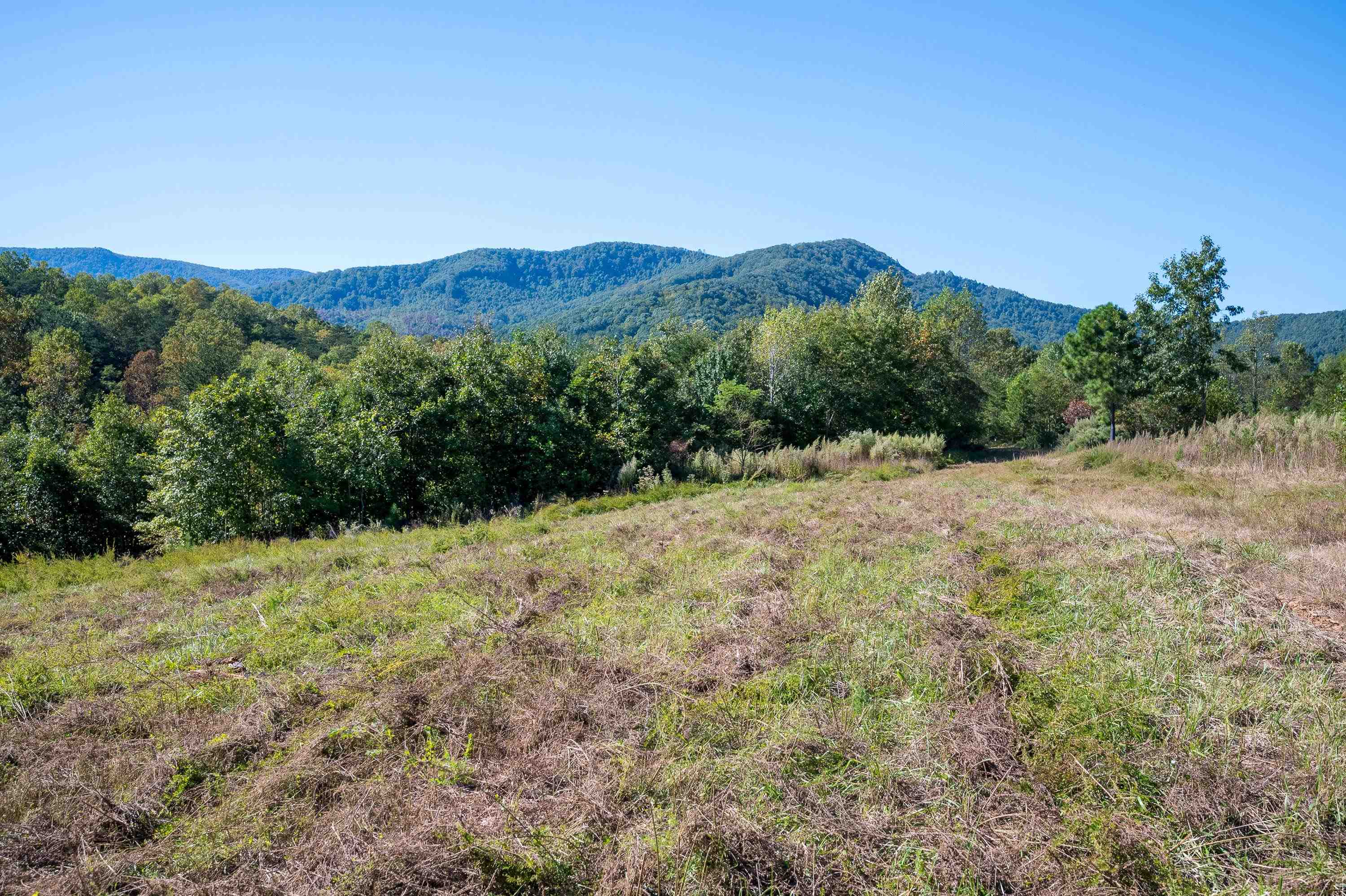401 York Thicket Road Lambsburg VA 24351