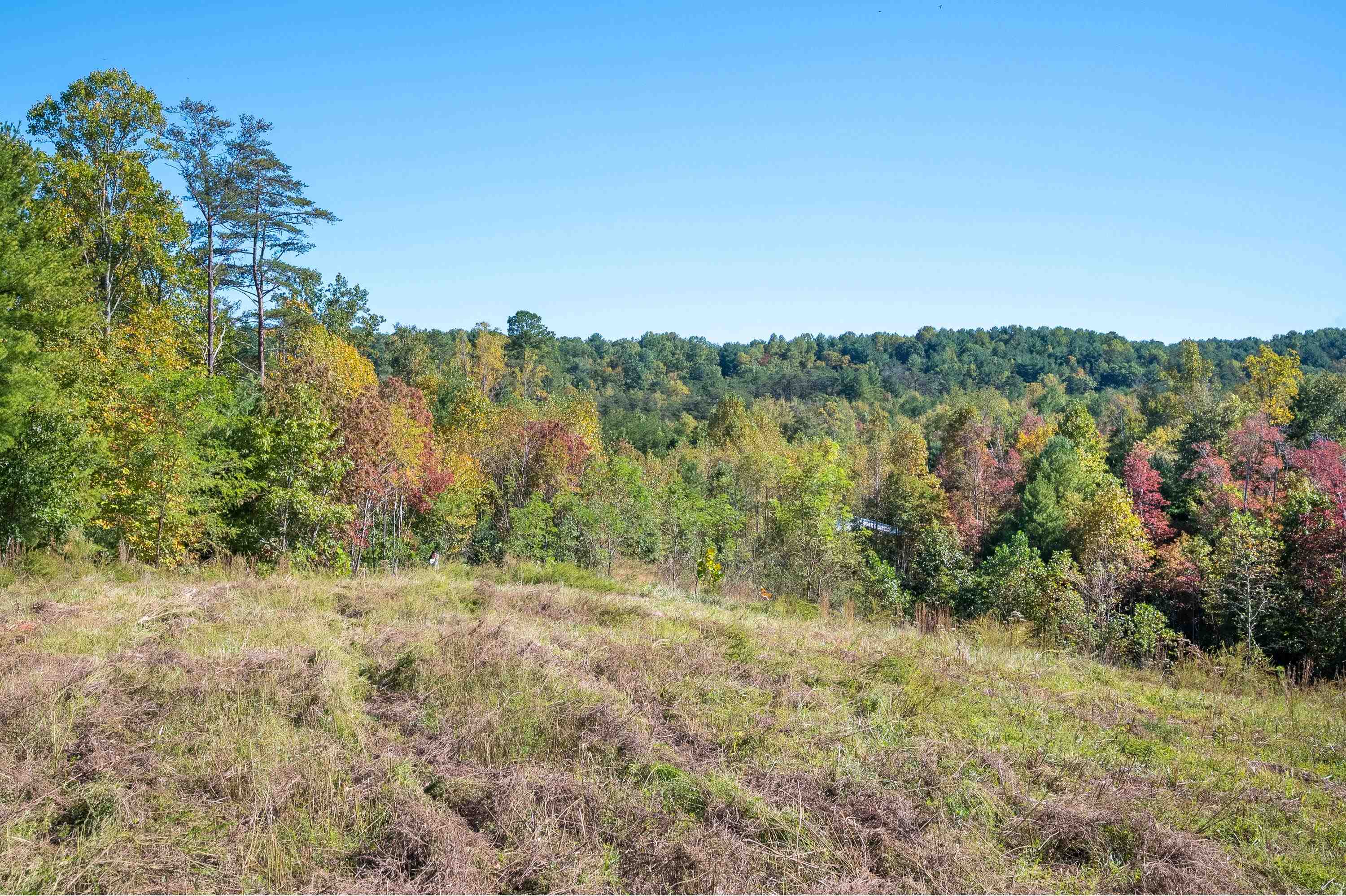401 York Thicket Road Lambsburg VA 24351