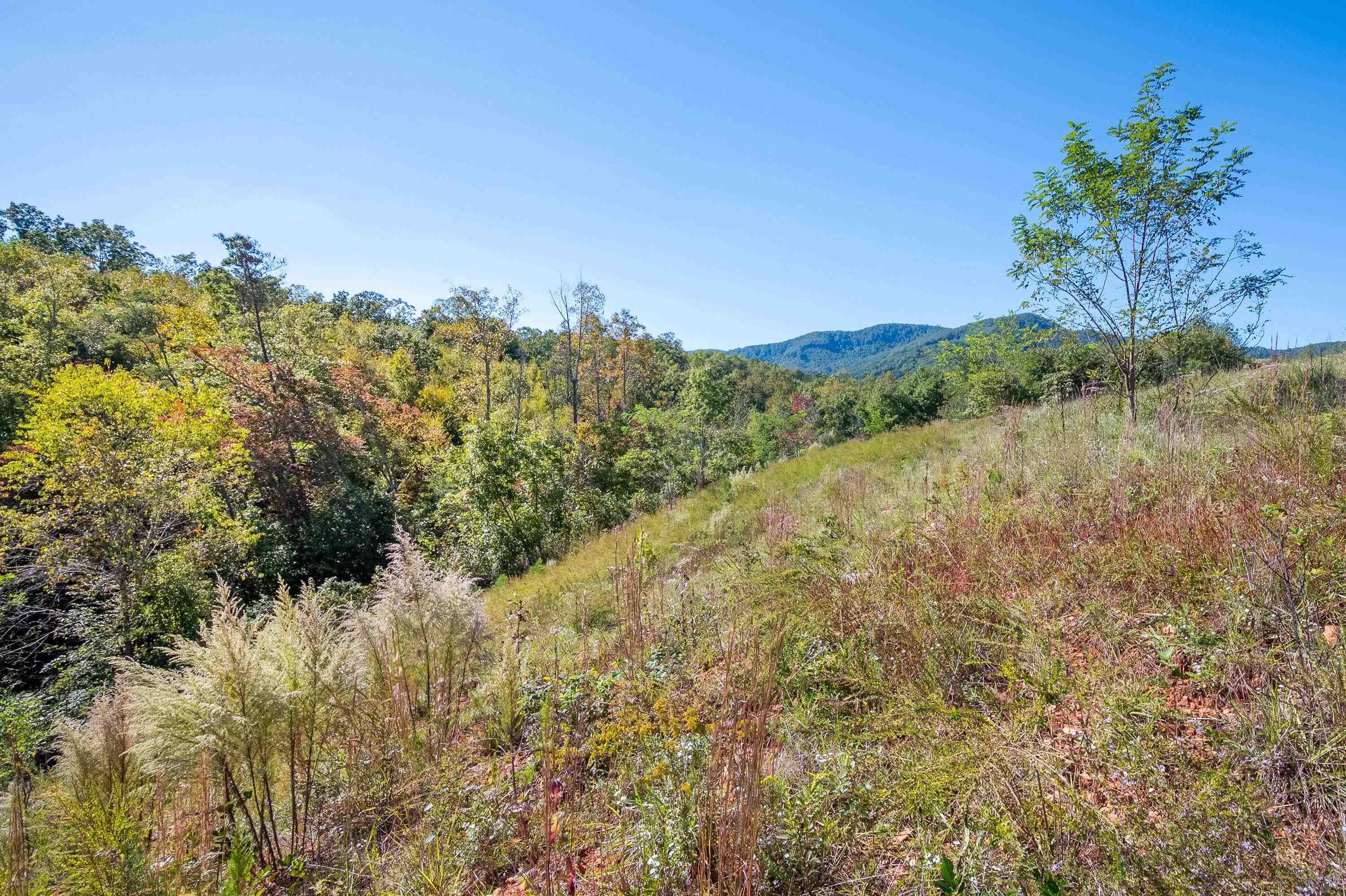 401 York Thicket Road Lambsburg VA 24351
