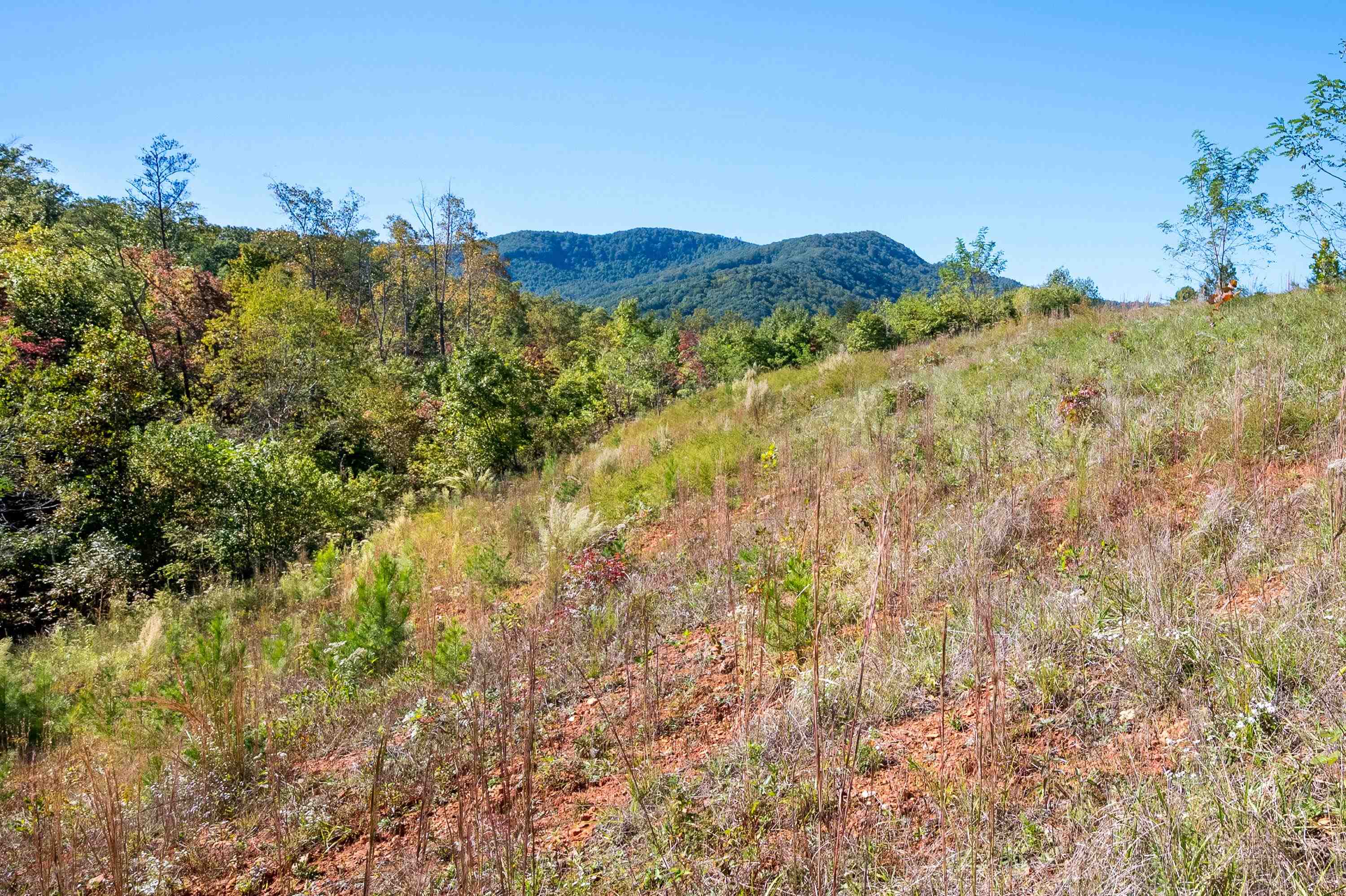 401 York Thicket Road Lambsburg VA 24351