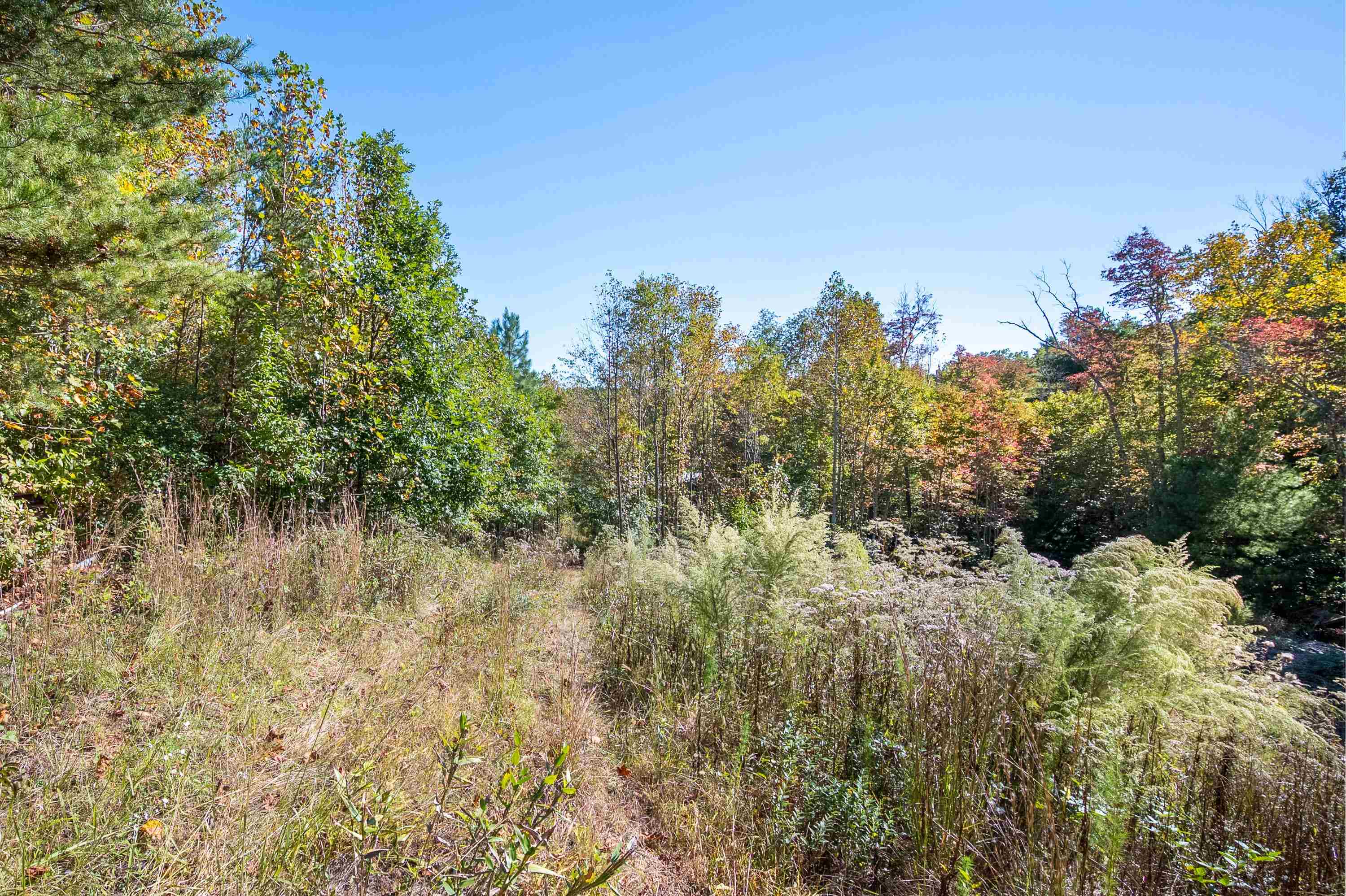 401 York Thicket Road Lambsburg VA 24351
