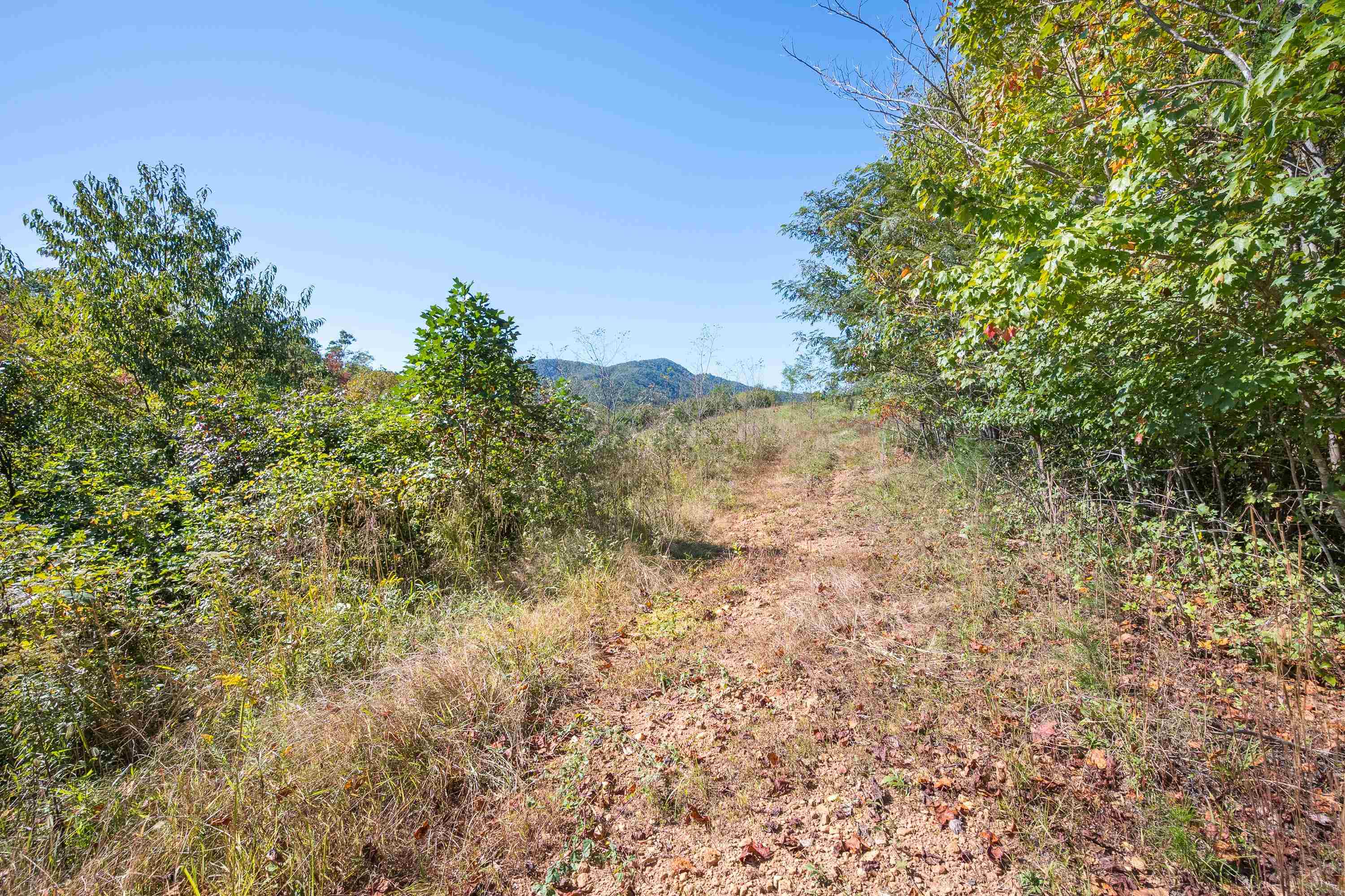 401 York Thicket Road Lambsburg VA 24351