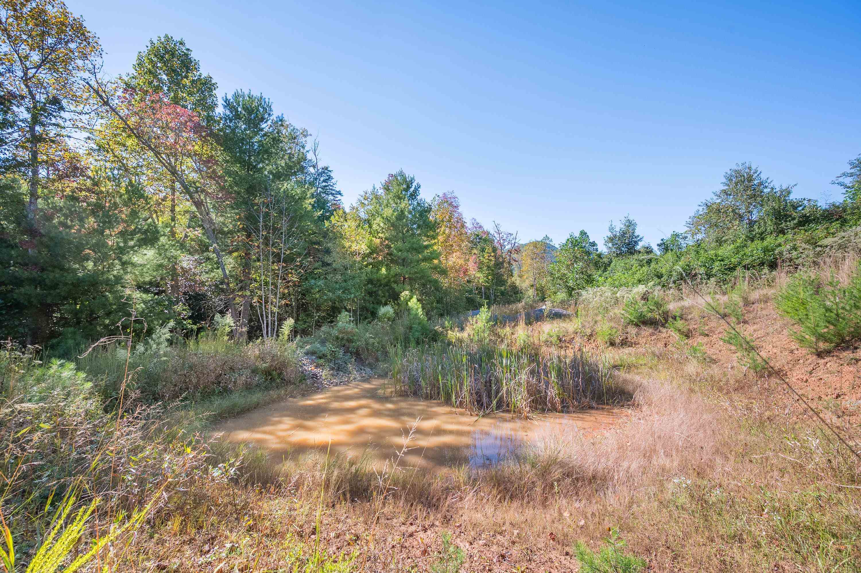 401 York Thicket Road Lambsburg VA 24351