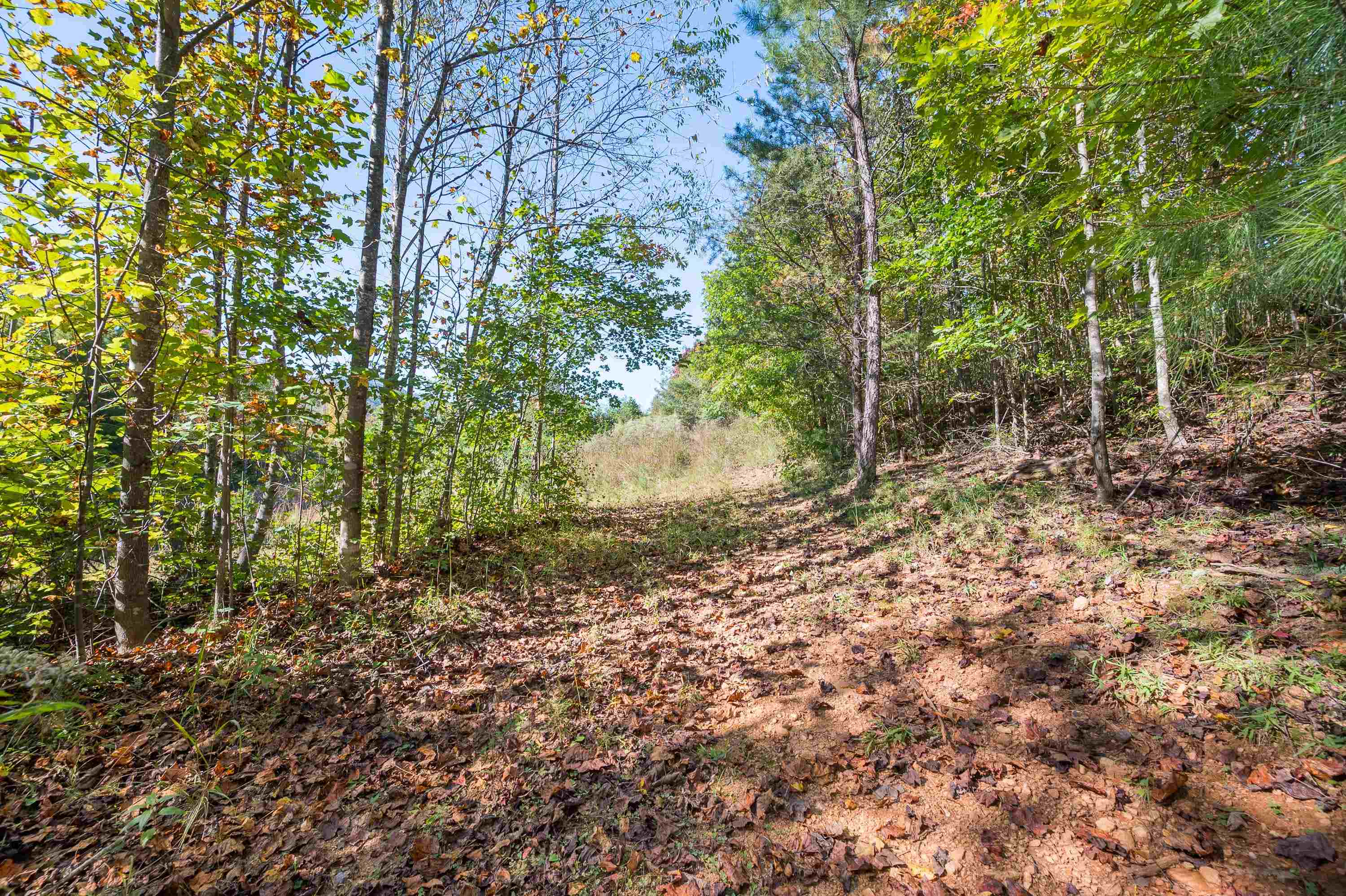 401 York Thicket Road Lambsburg VA 24351