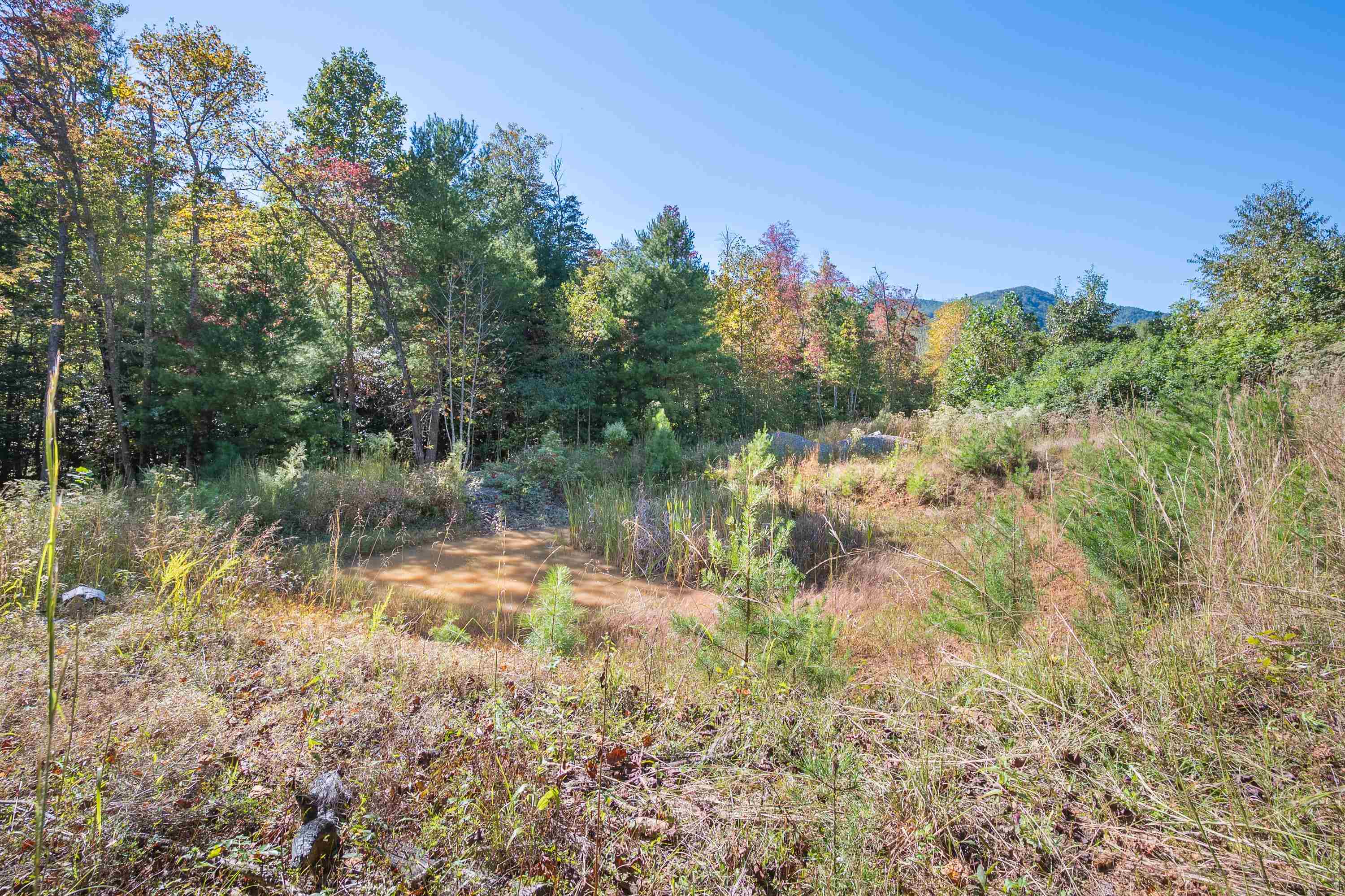 401 York Thicket Road Lambsburg VA 24351