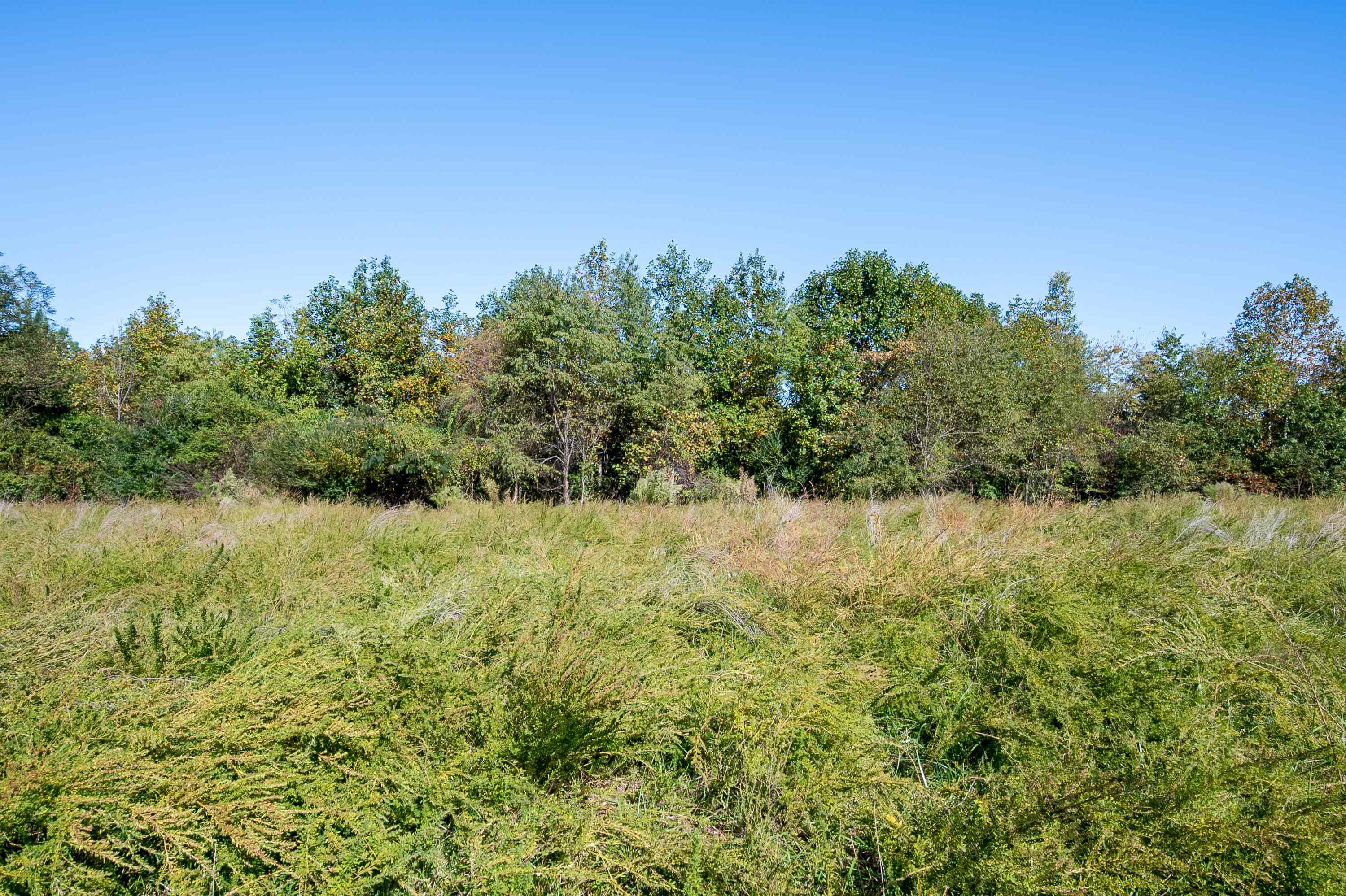 401 York Thicket Road Lambsburg VA 24351