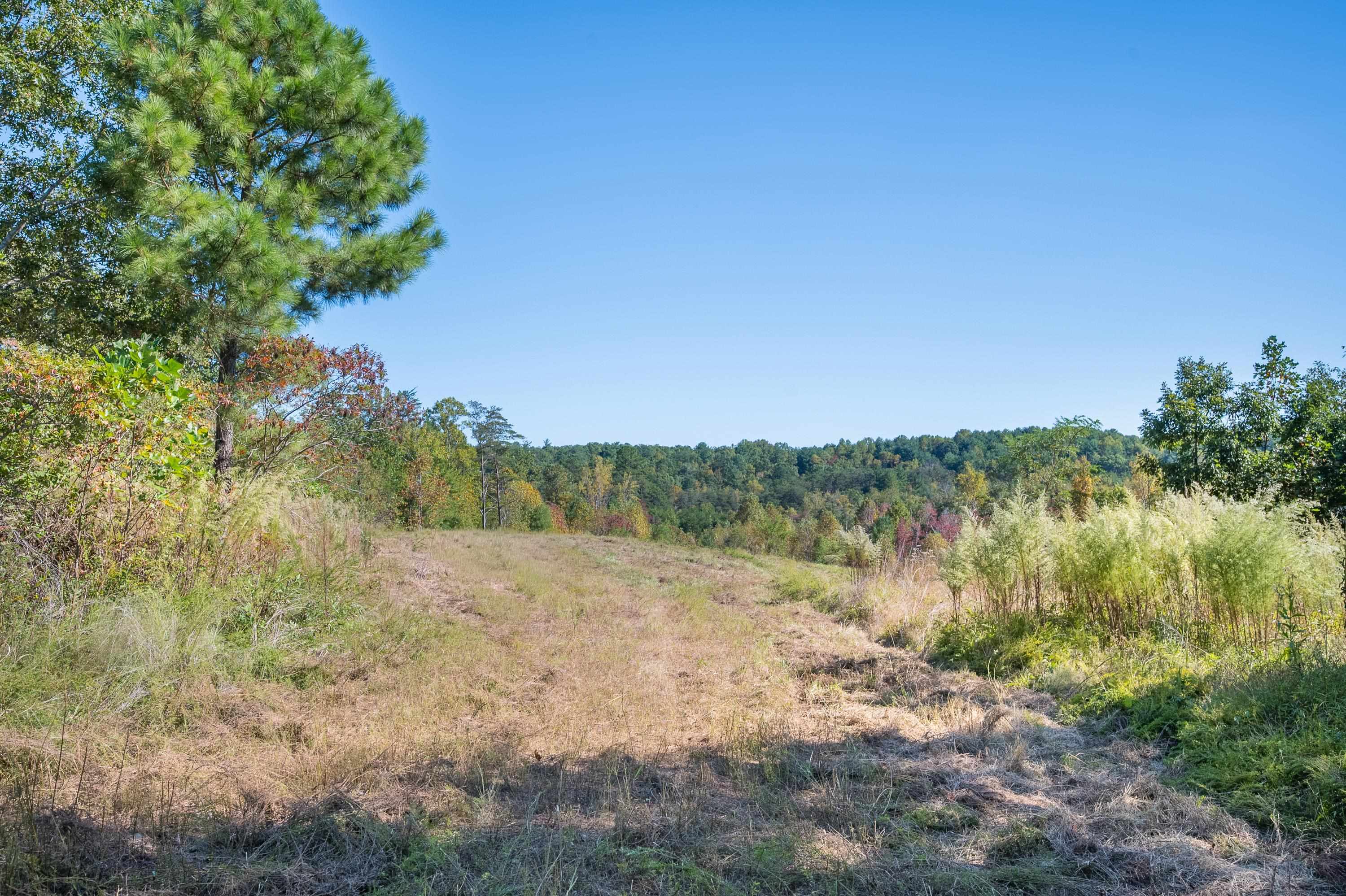 401 York Thicket Road Lambsburg VA 24351