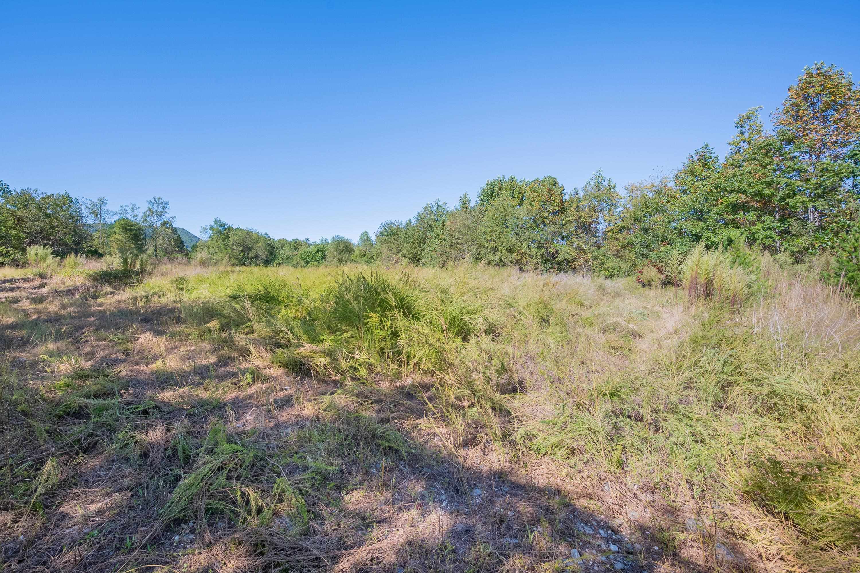 401 York Thicket Road Lambsburg VA 24351