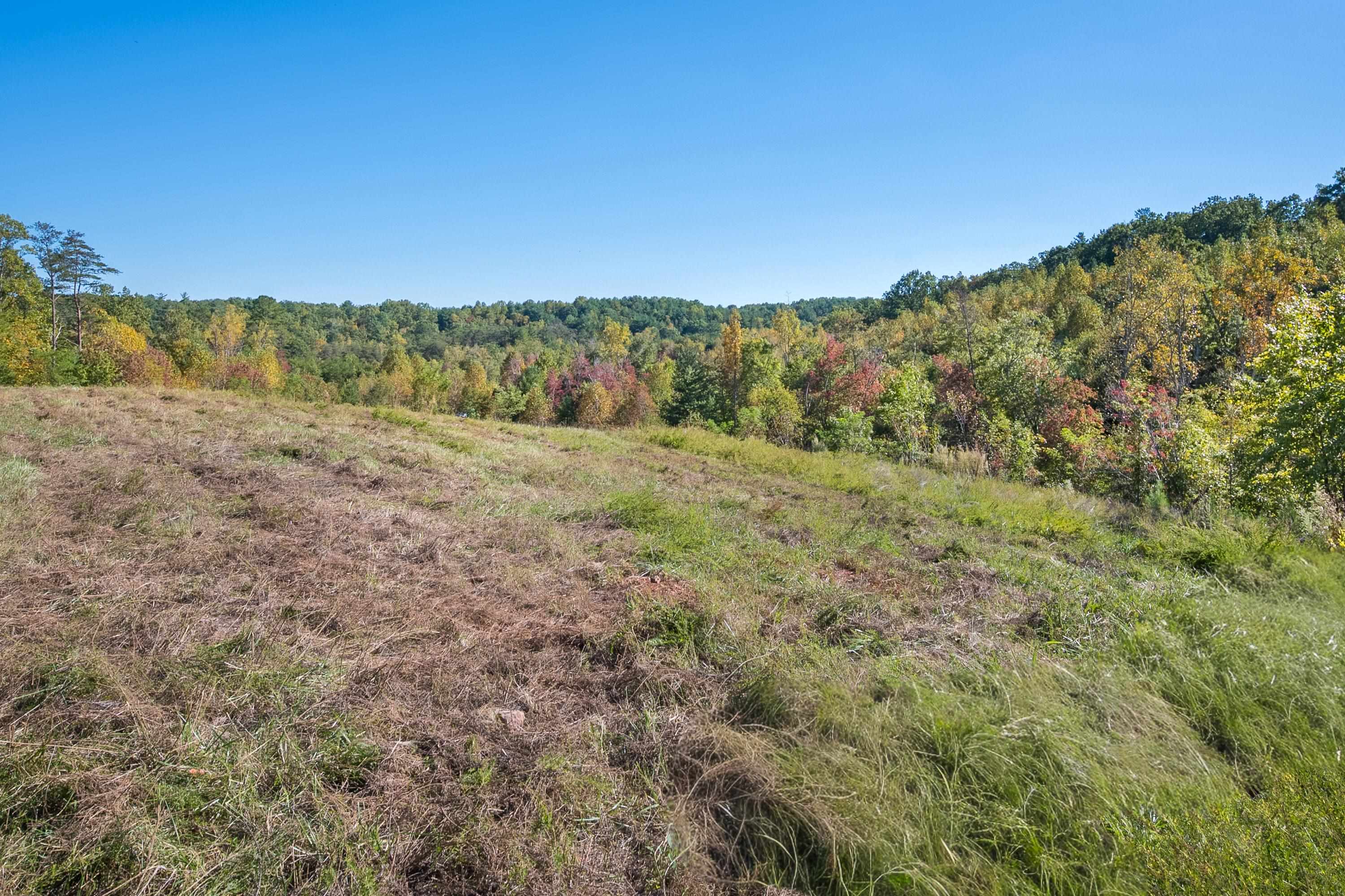 401 York Thicket Road Lambsburg VA 24351