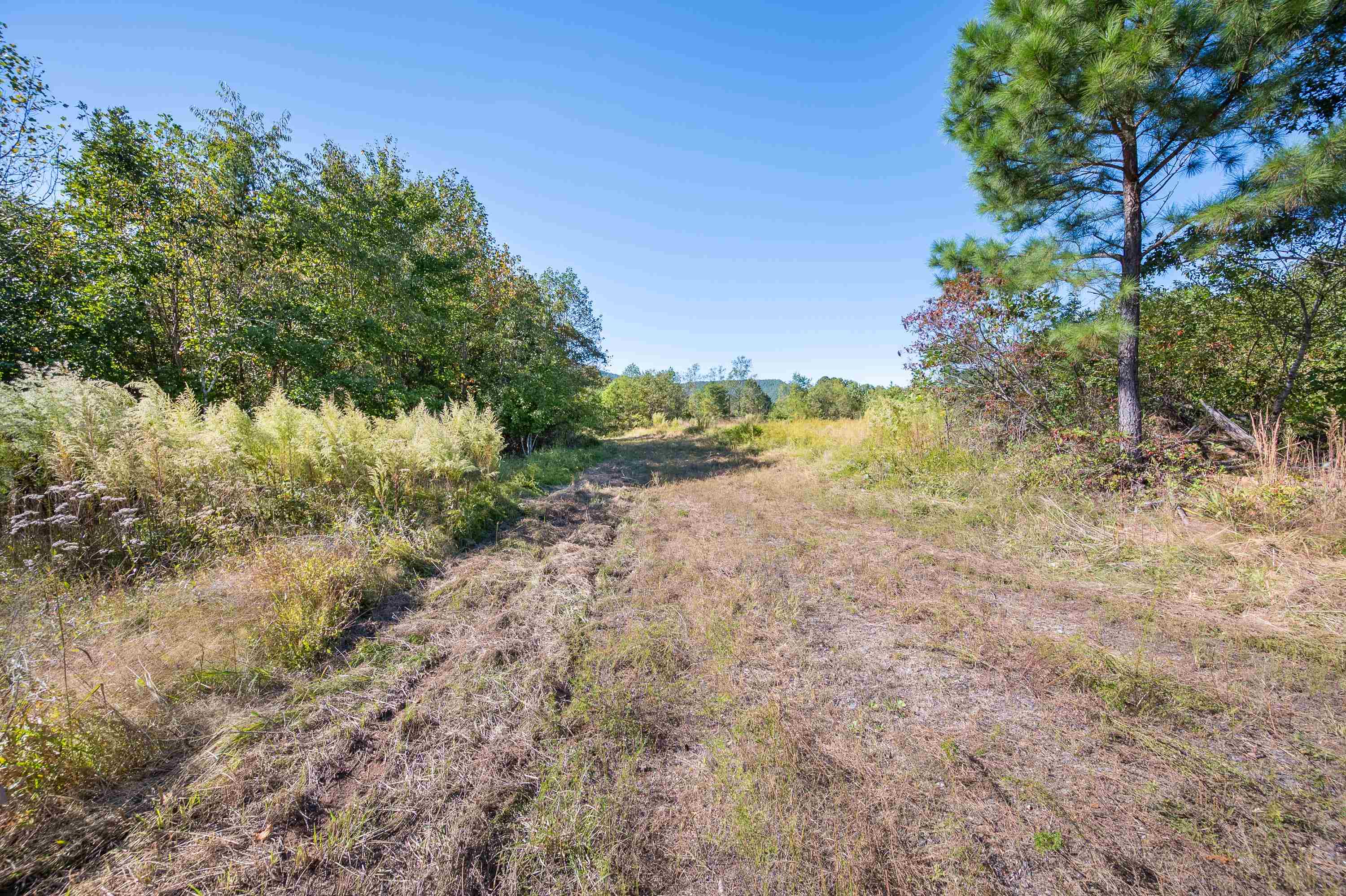 401 York Thicket Road Lambsburg VA 24351