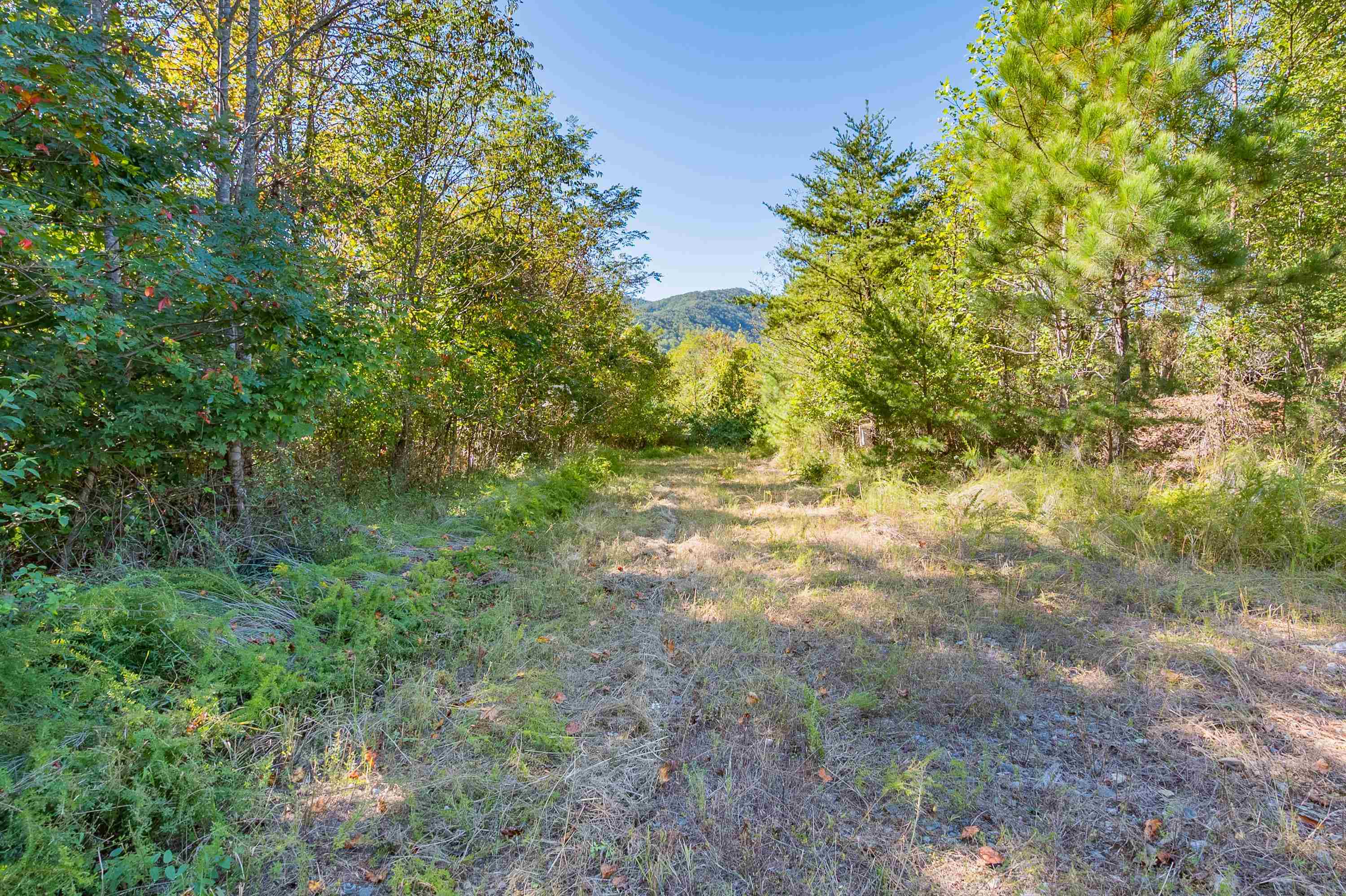 401 York Thicket Road Lambsburg VA 24351