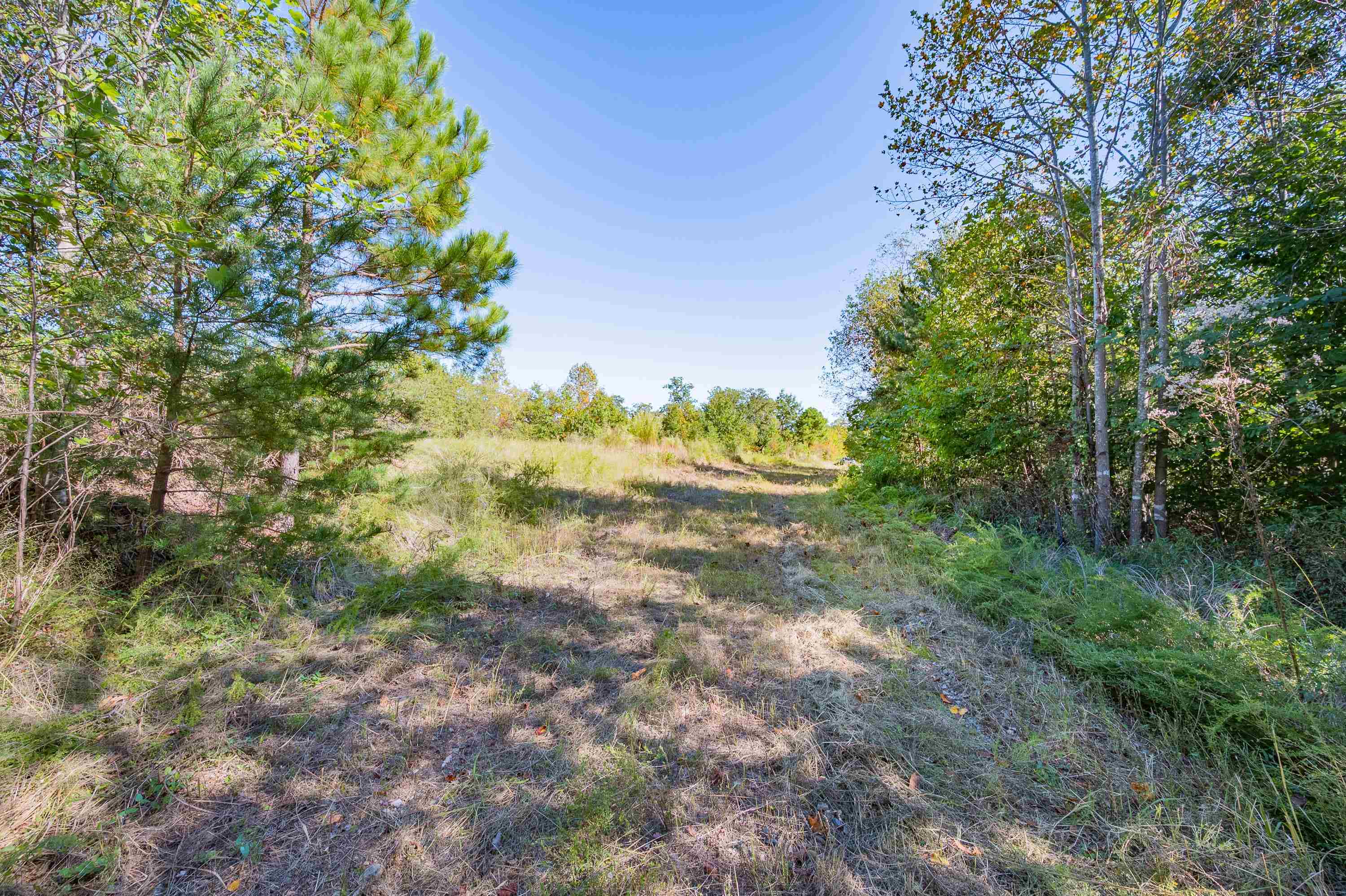 401 York Thicket Road Lambsburg VA 24351