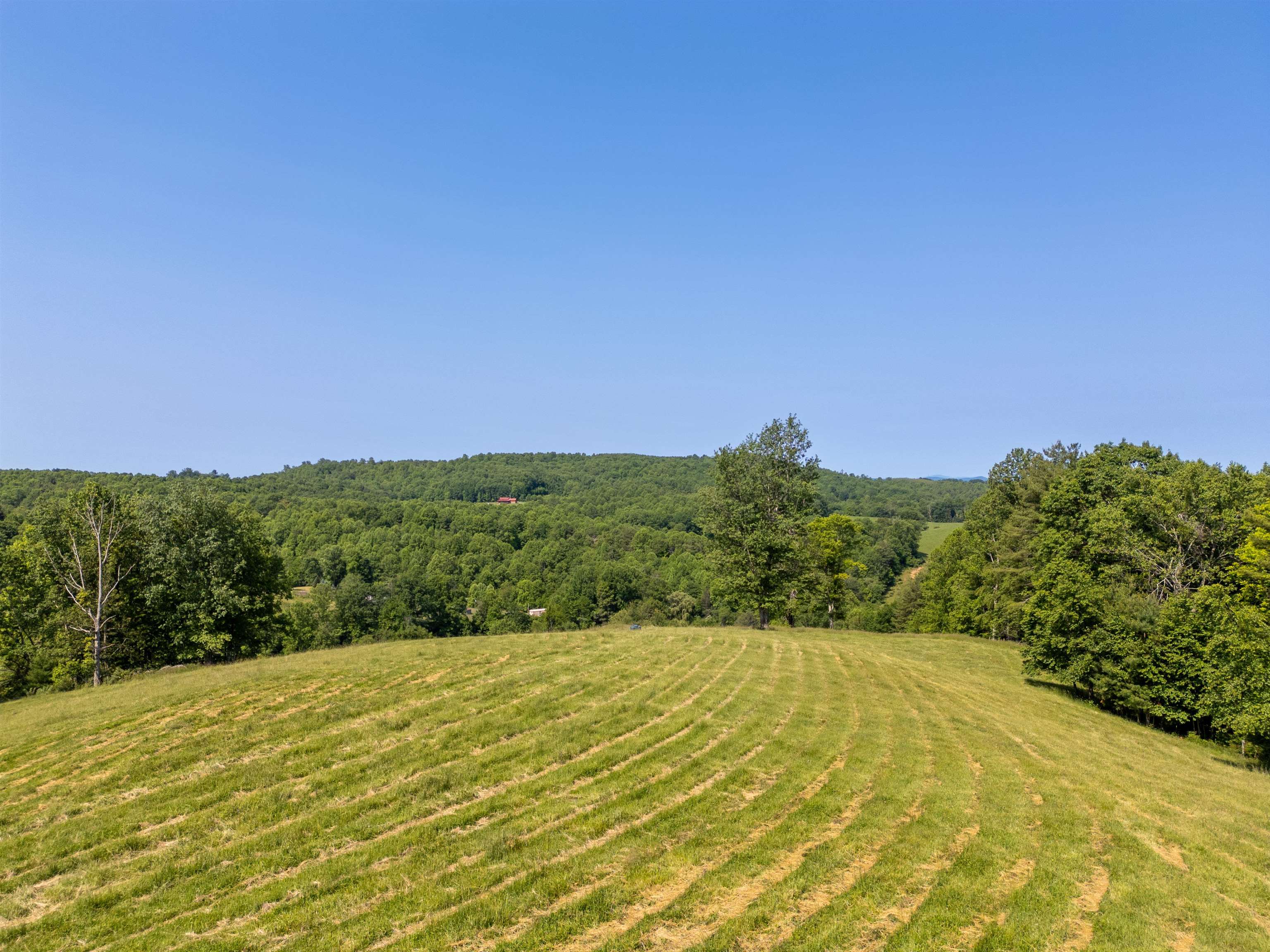 Tbd Gibson Knob Road Laurel Fork VA 24352