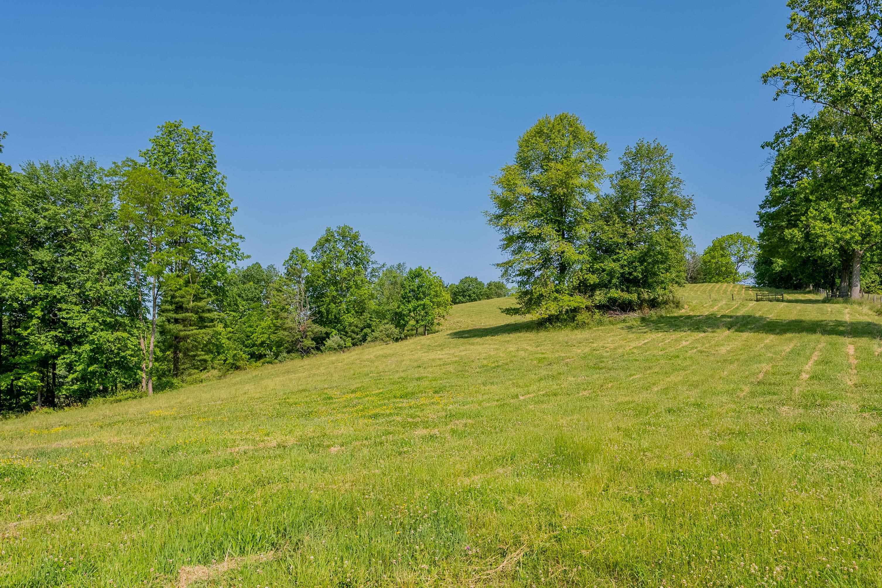 Tbd Gibson Knob Road Laurel Fork VA 24352
