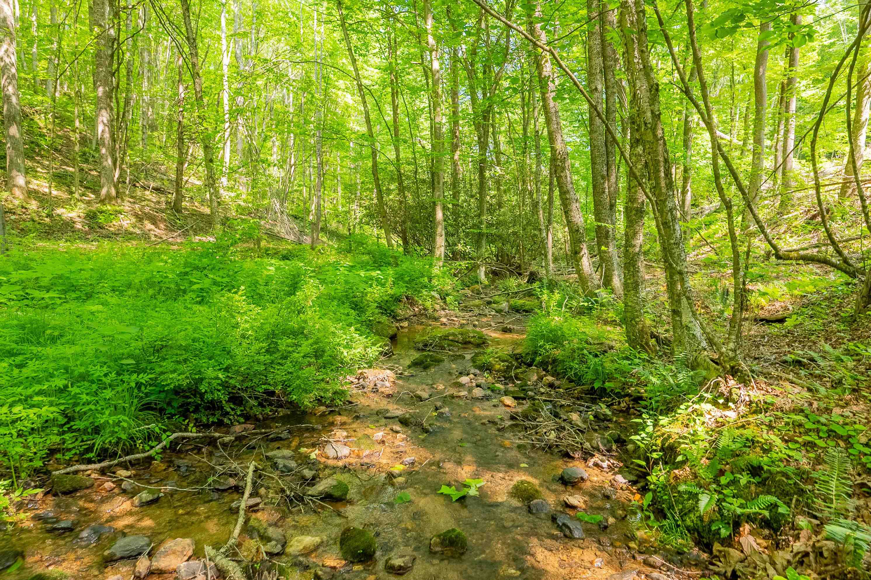 Tbd Gibson Knob Road Laurel Fork VA 24352