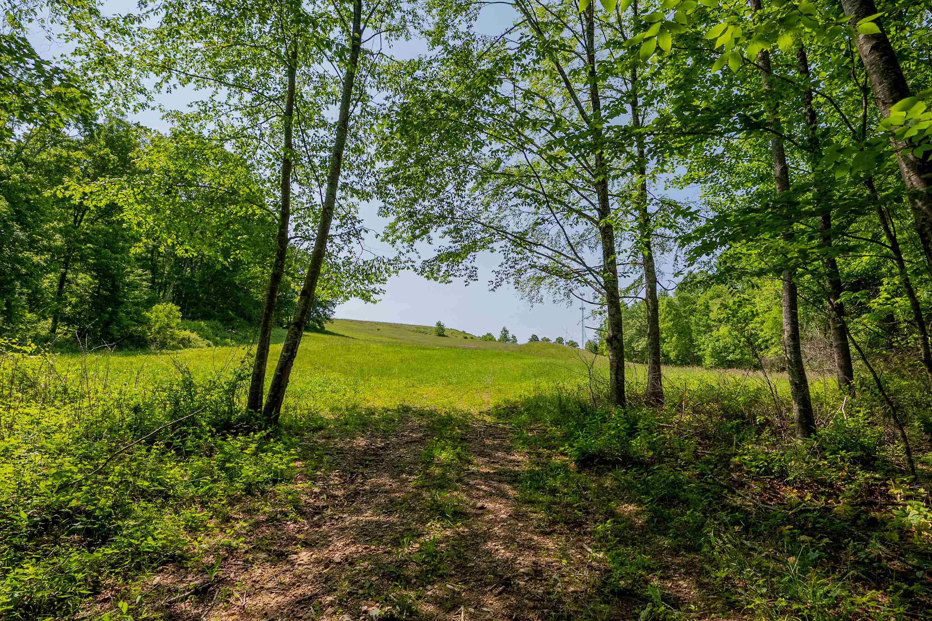 Tbd Gibson Knob Road Laurel Fork VA 24352