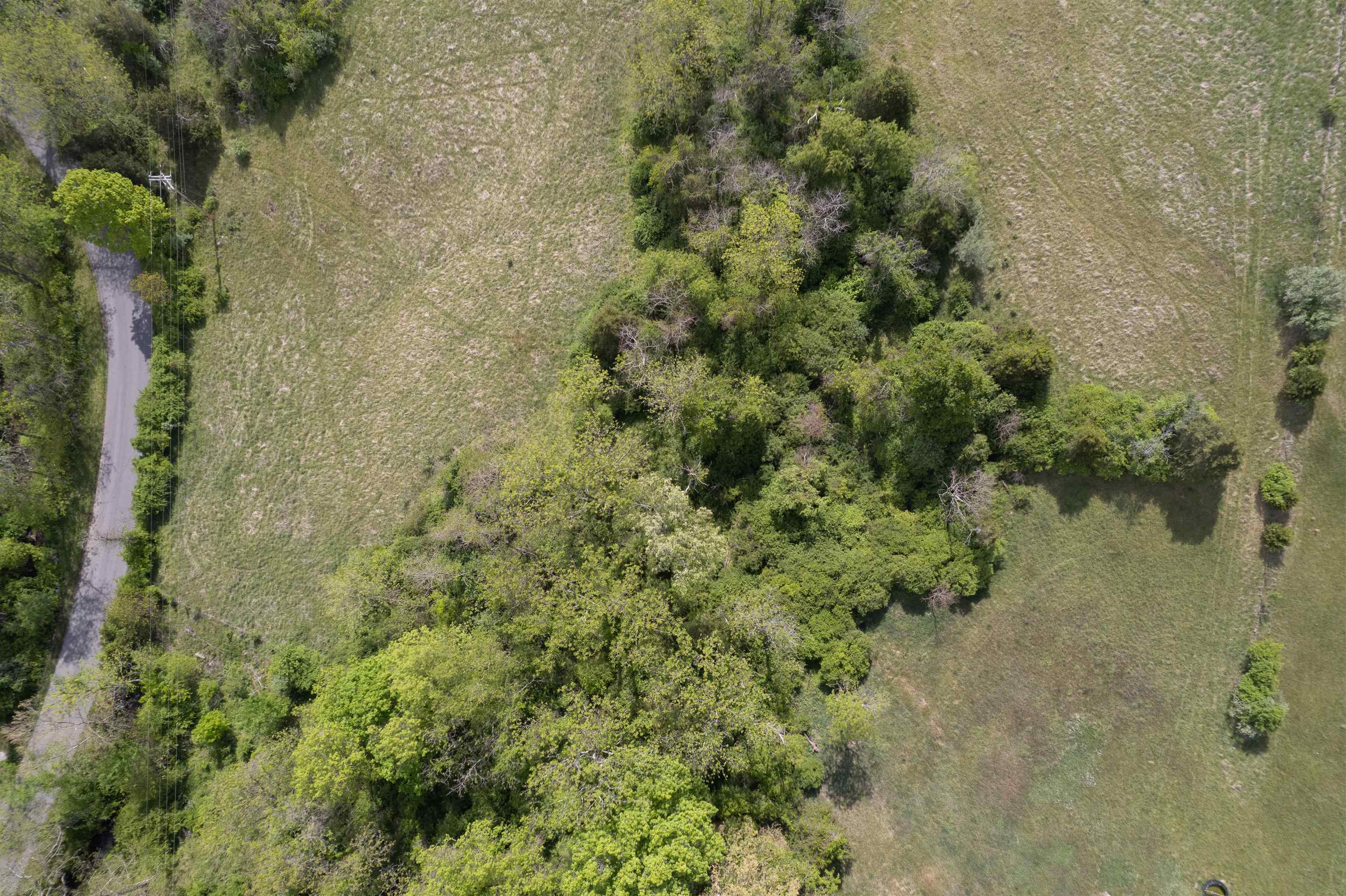 Tbd Reed Creek Road Wytheville VA 24382