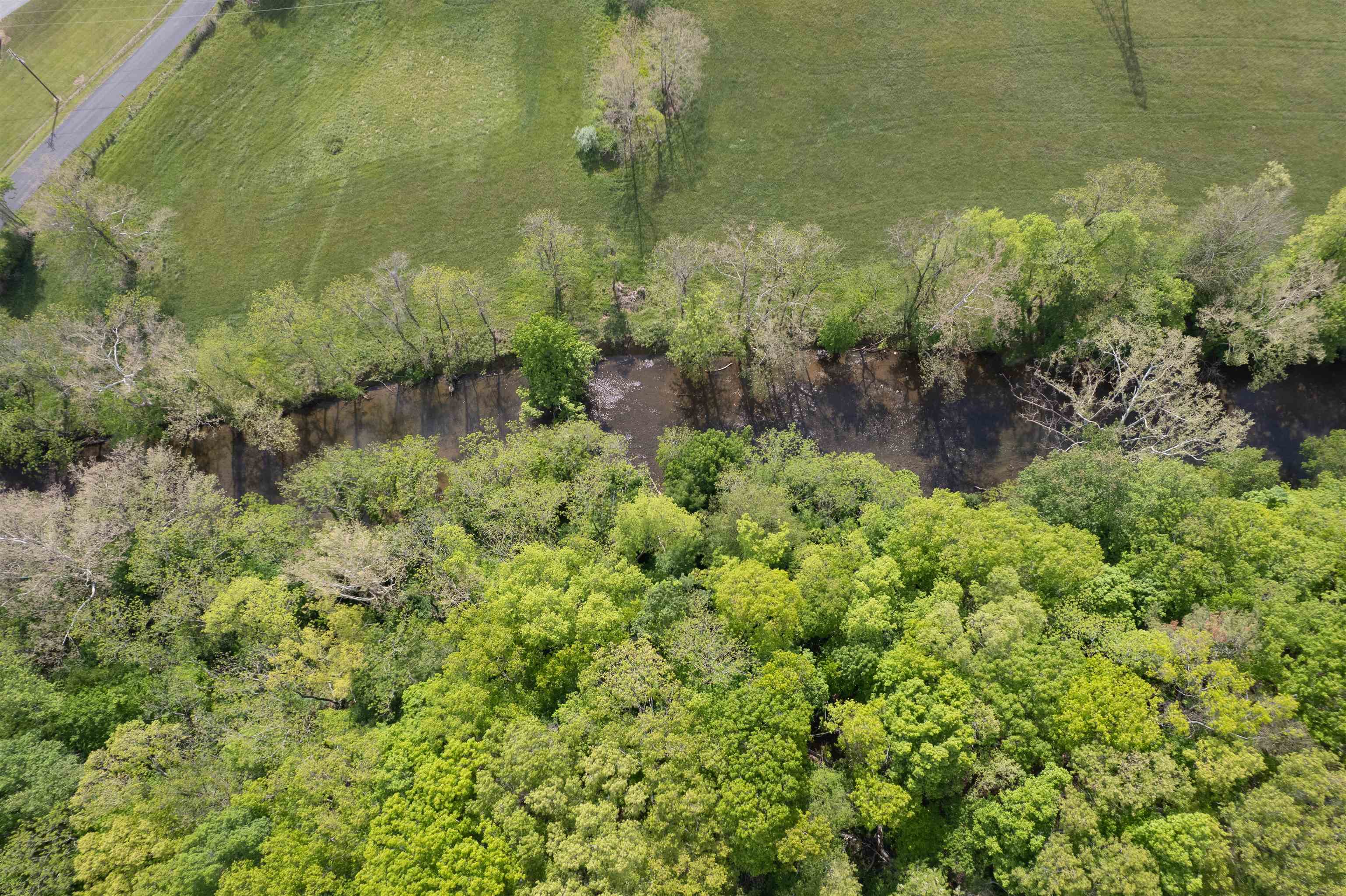 Tbd Reed Creek Road Wytheville VA 24382
