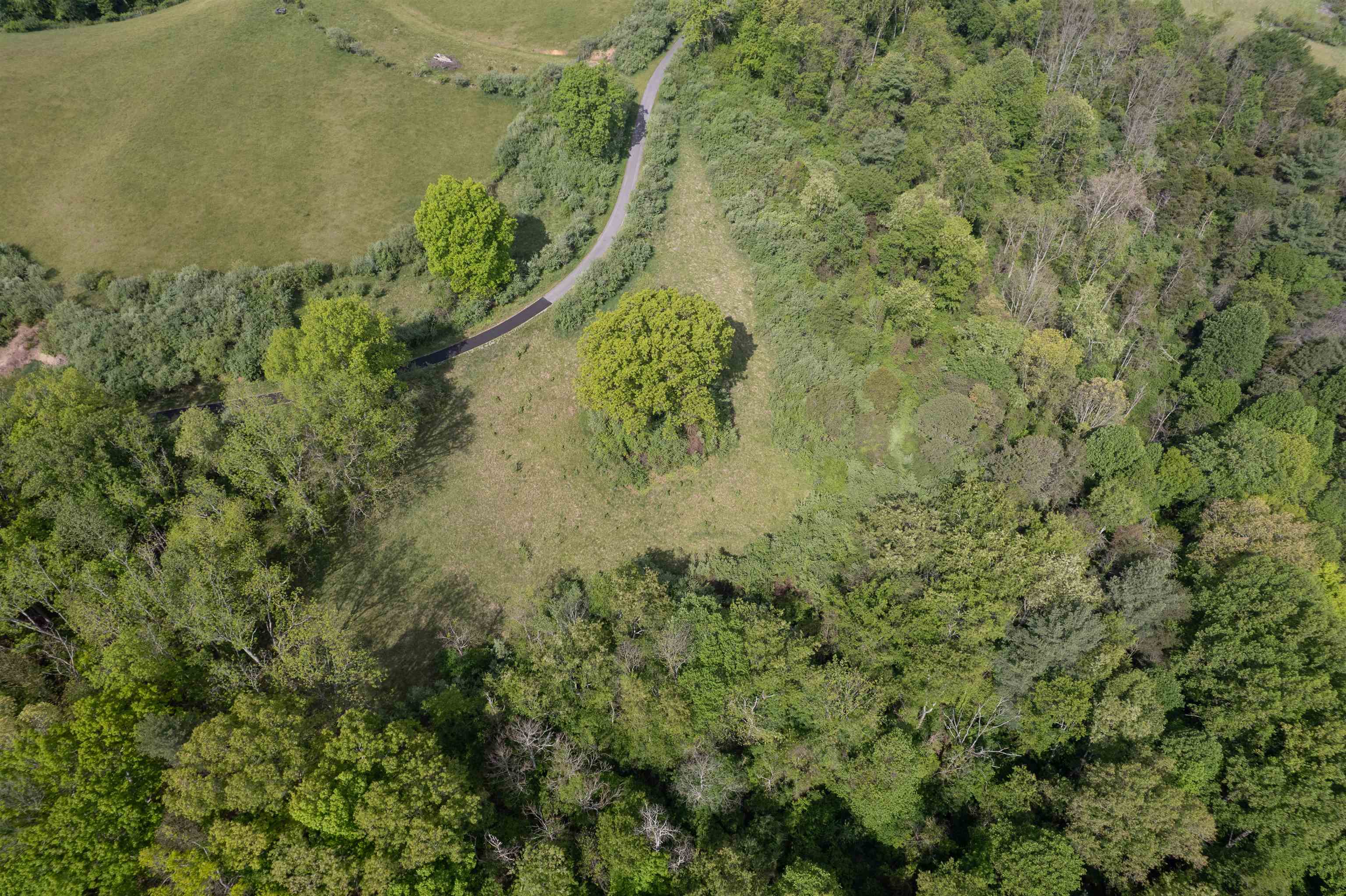 Tbd Reed Creek Road Wytheville VA 24382