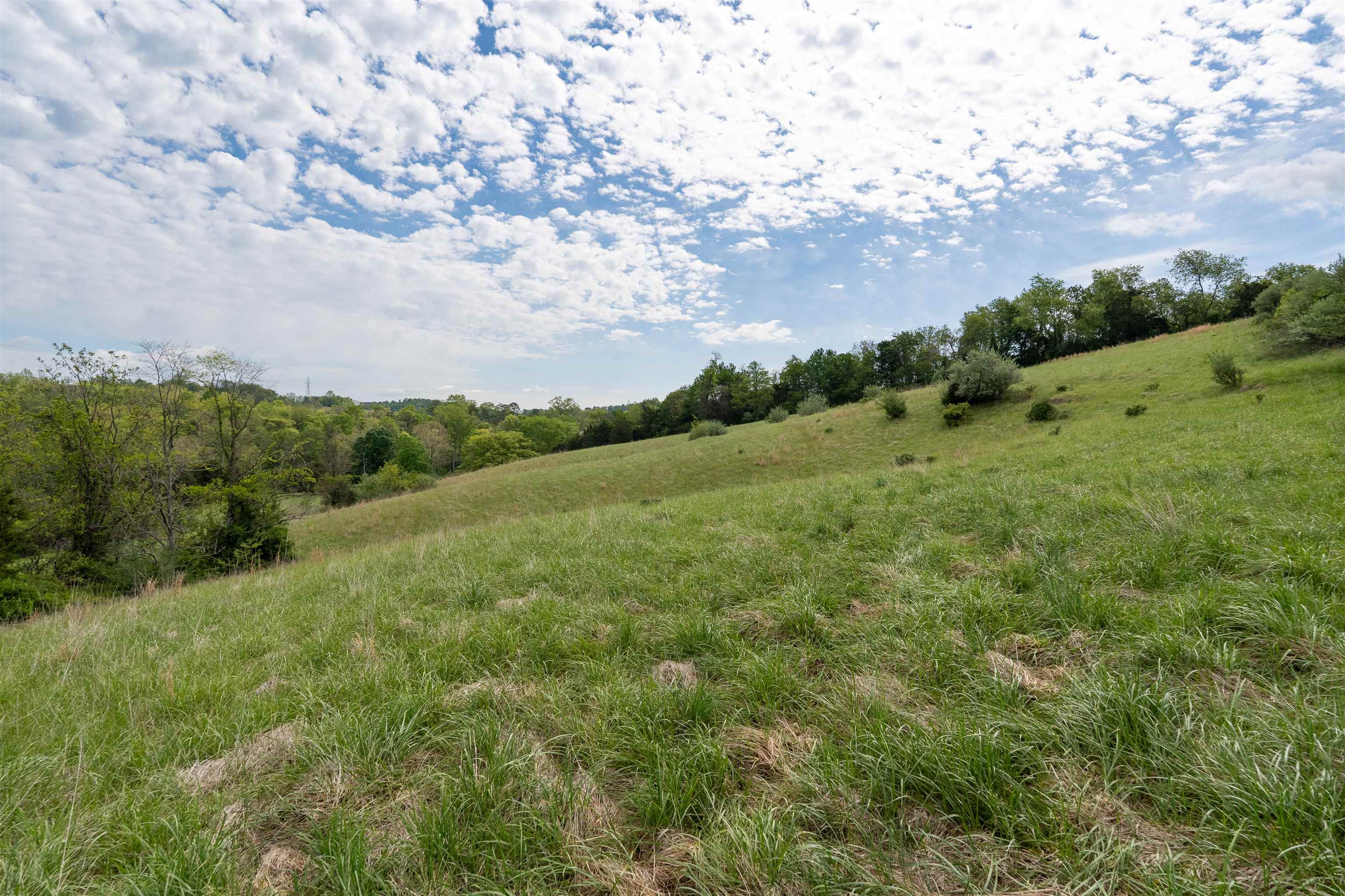 Tbd Reed Creek Road Wytheville VA 24382